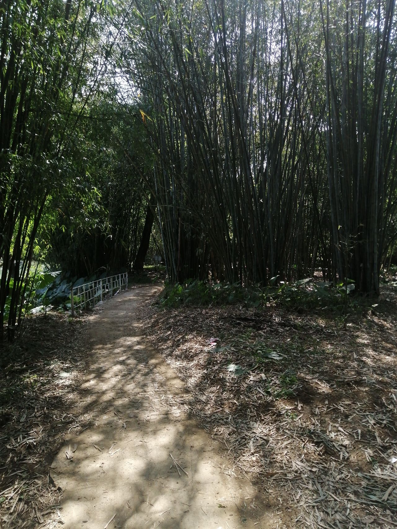 鱼水旅游风景区旅行图片 2