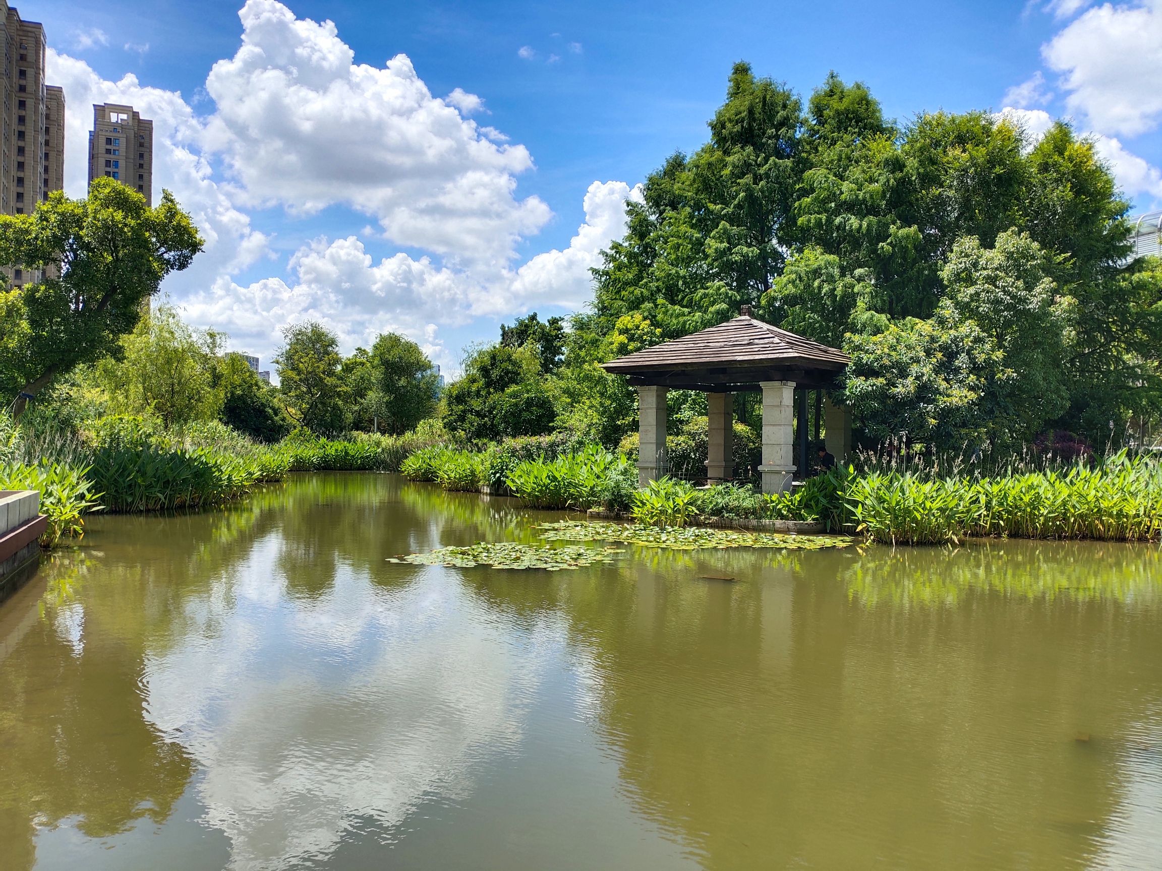仑江公园旅行图片 3