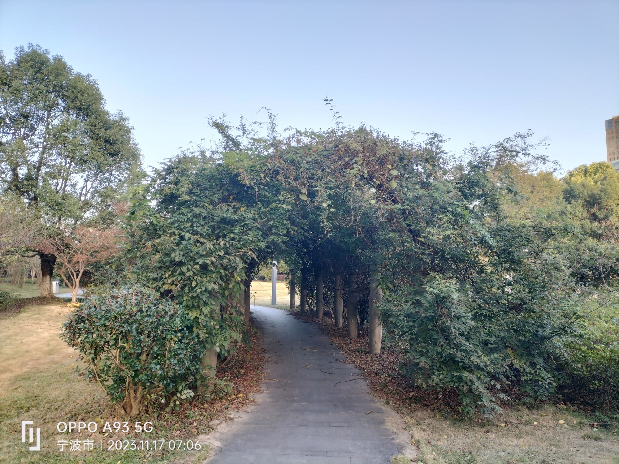 仑江公园旅行图片 3