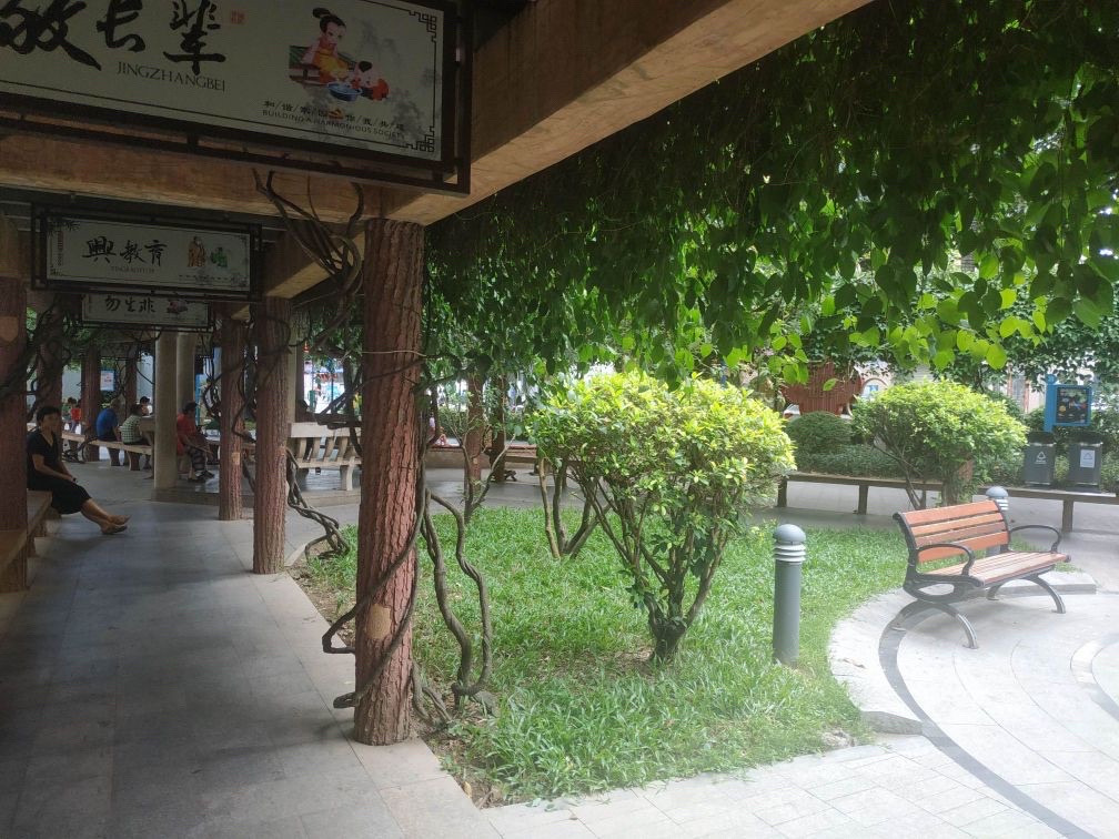 草围公园旅行图片 1
