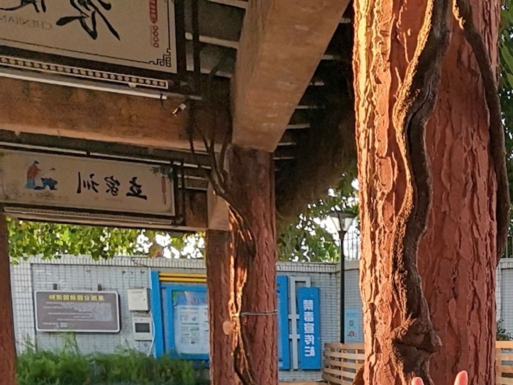 草围公园旅行图片 2
