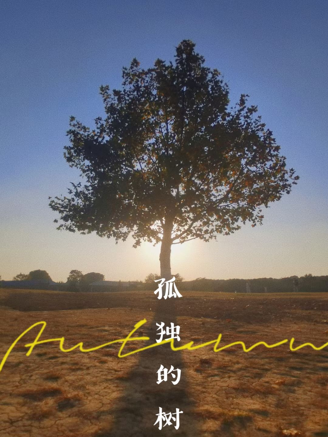 中央体育场旧址旅行图片 3