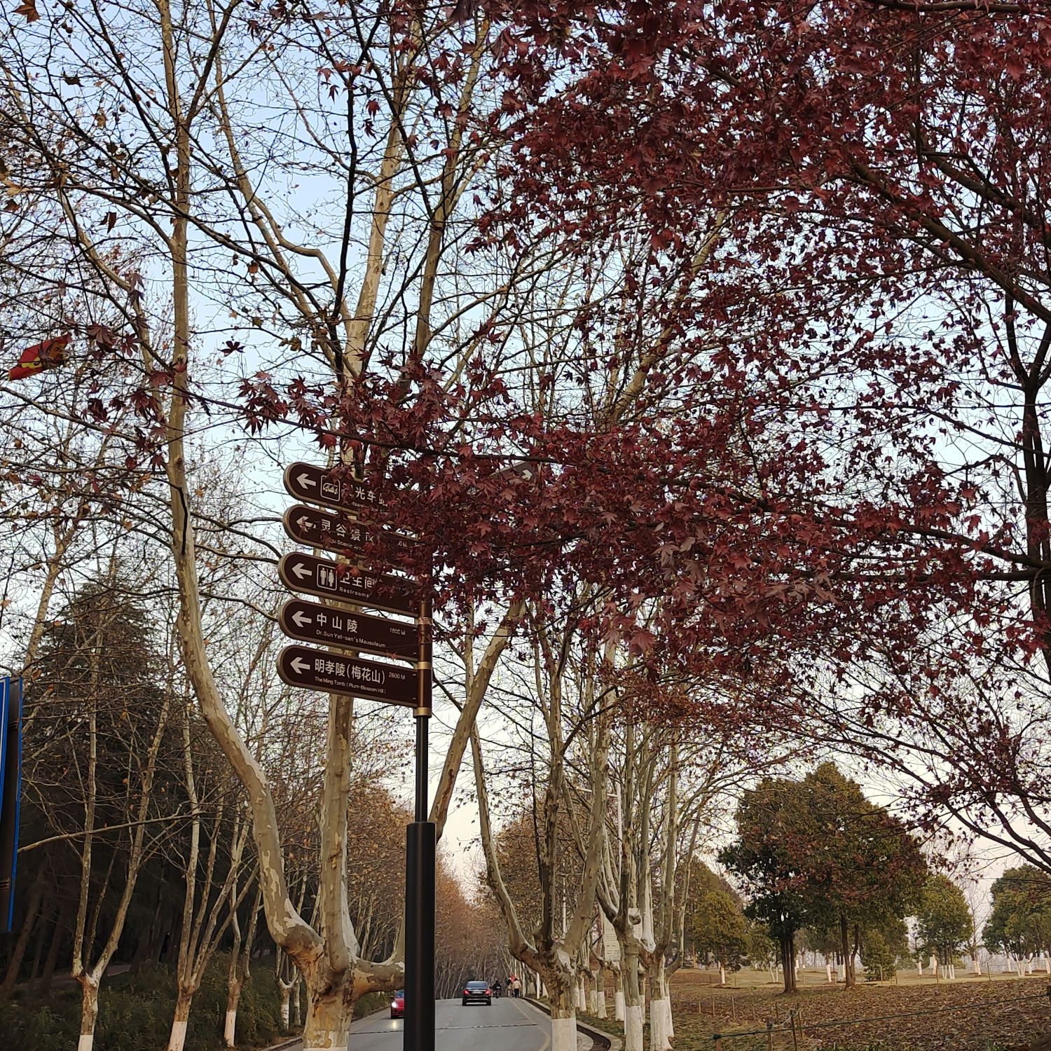 中央体育场旧址旅行图片 2