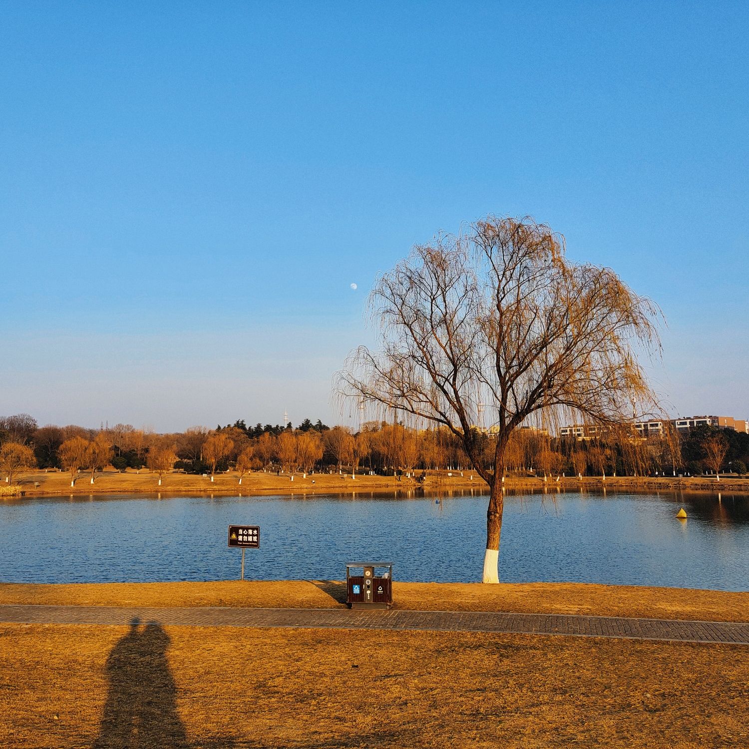 中央体育场旧址旅行图片 3