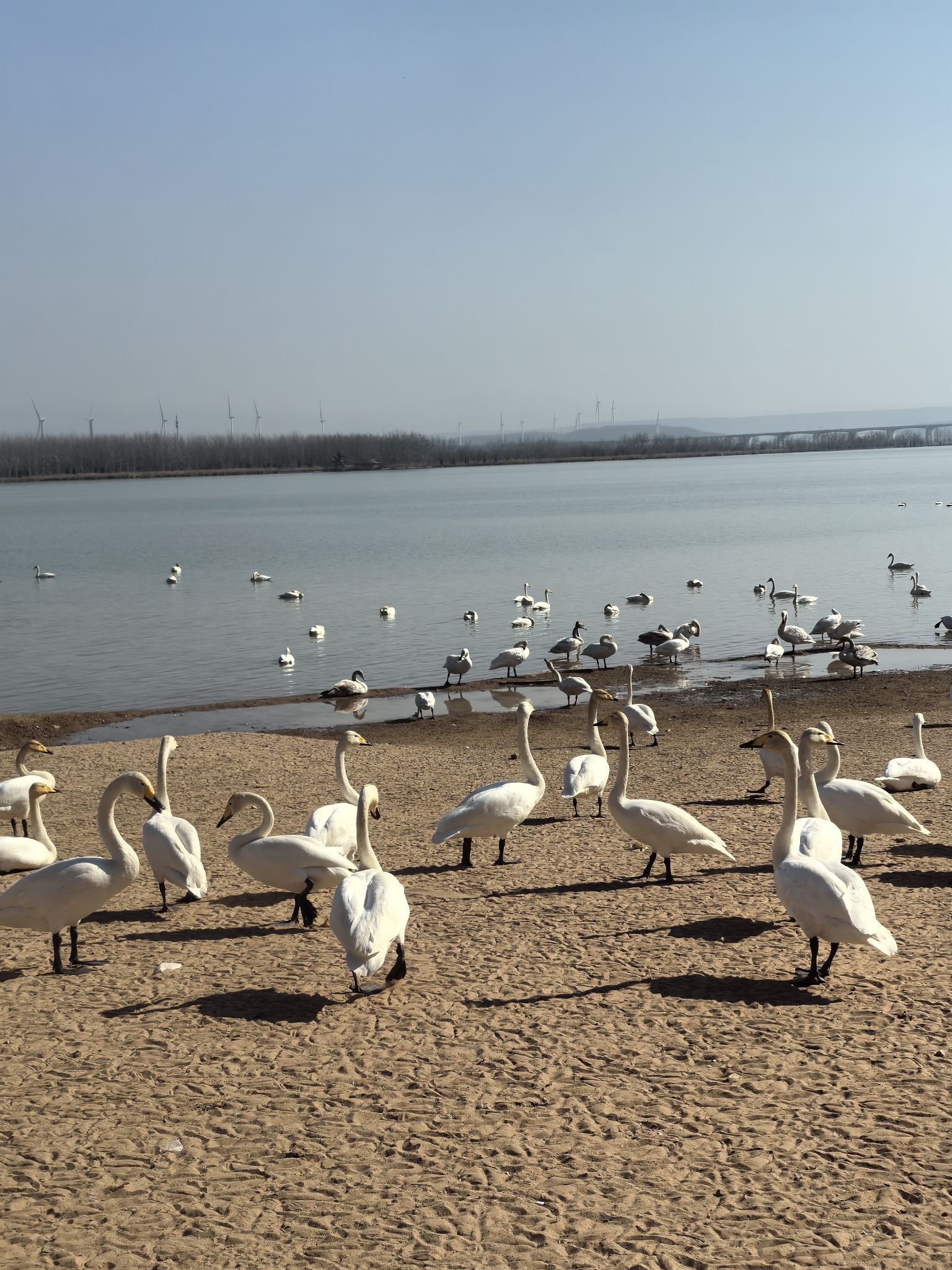 芮城圣天湖景区旅行图片 3