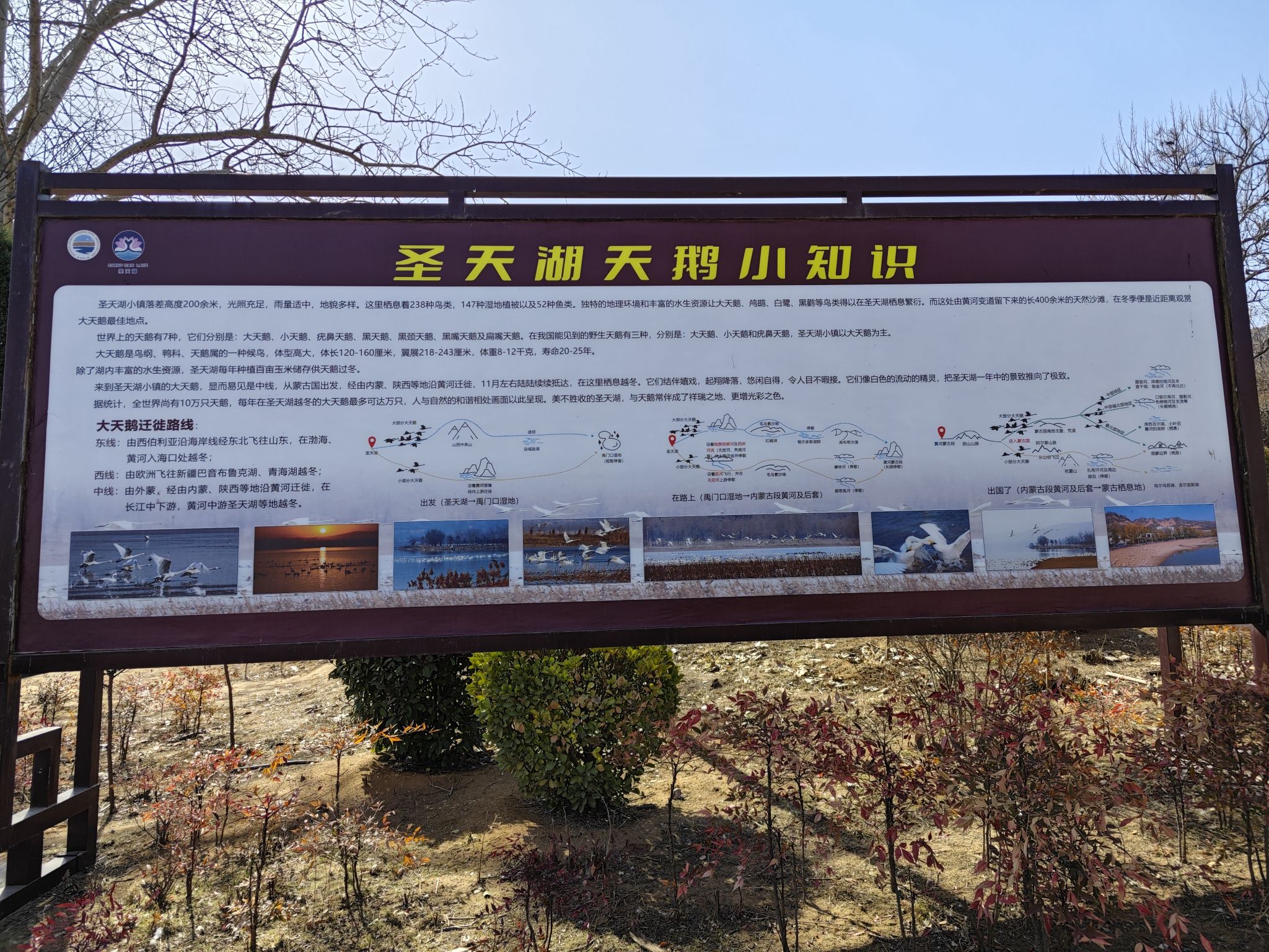 芮城圣天湖景区旅行图片 1