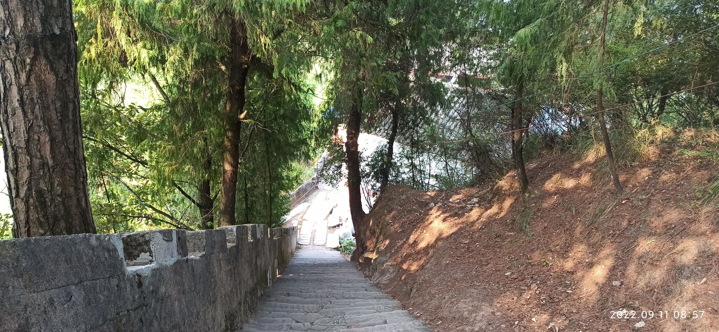 长龙山风景区旅行图片 2