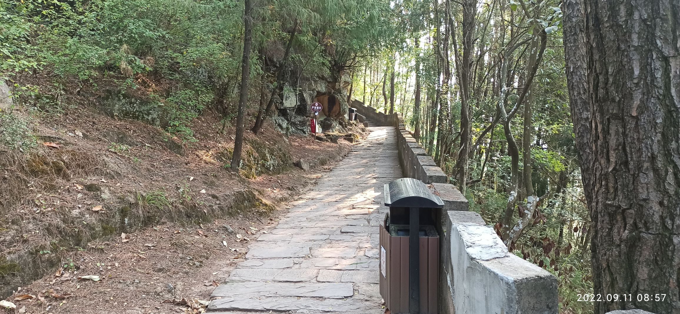 长龙山风景区旅行图片 3