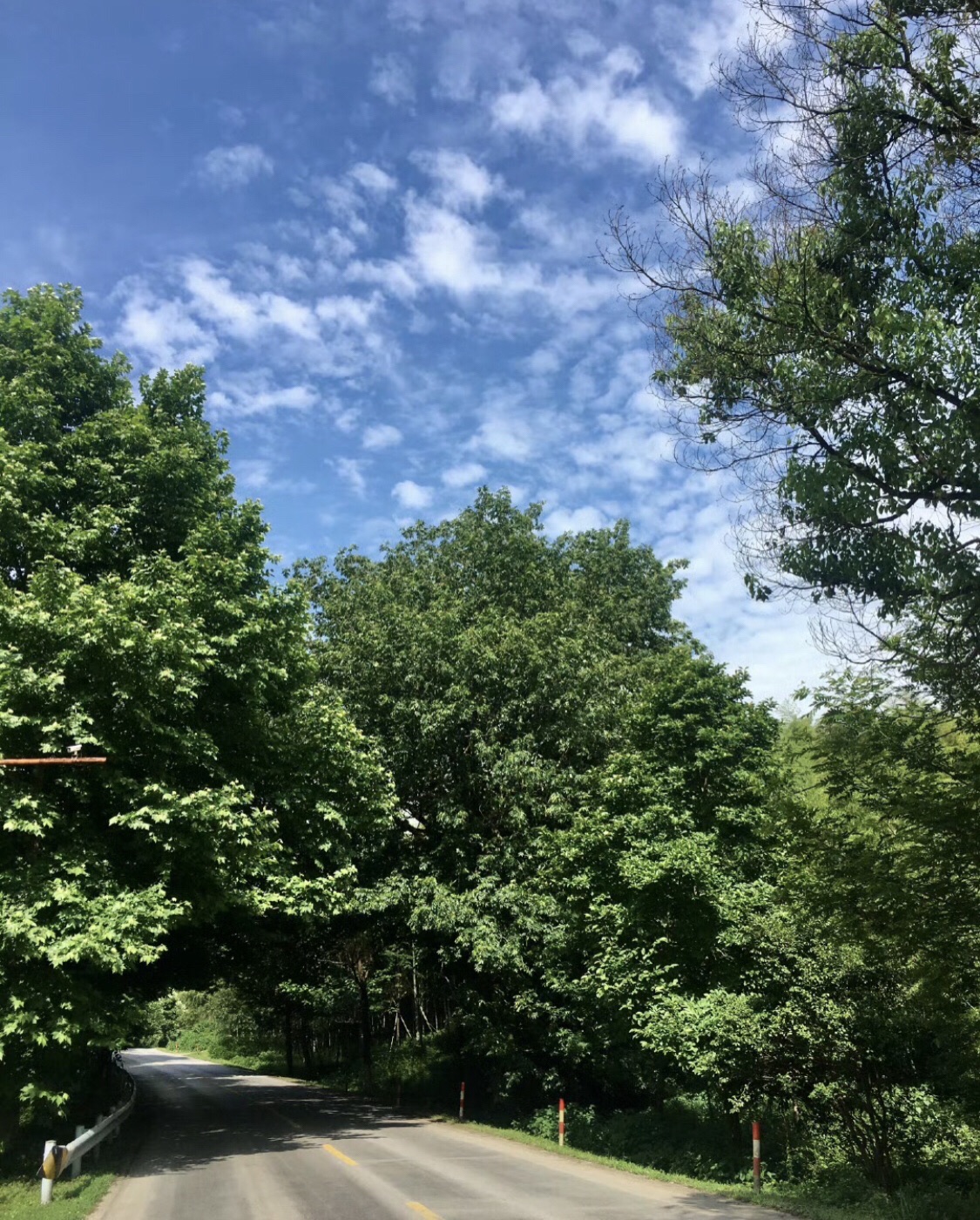 宜兴阳羡生态旅游度假区旅行图片 1