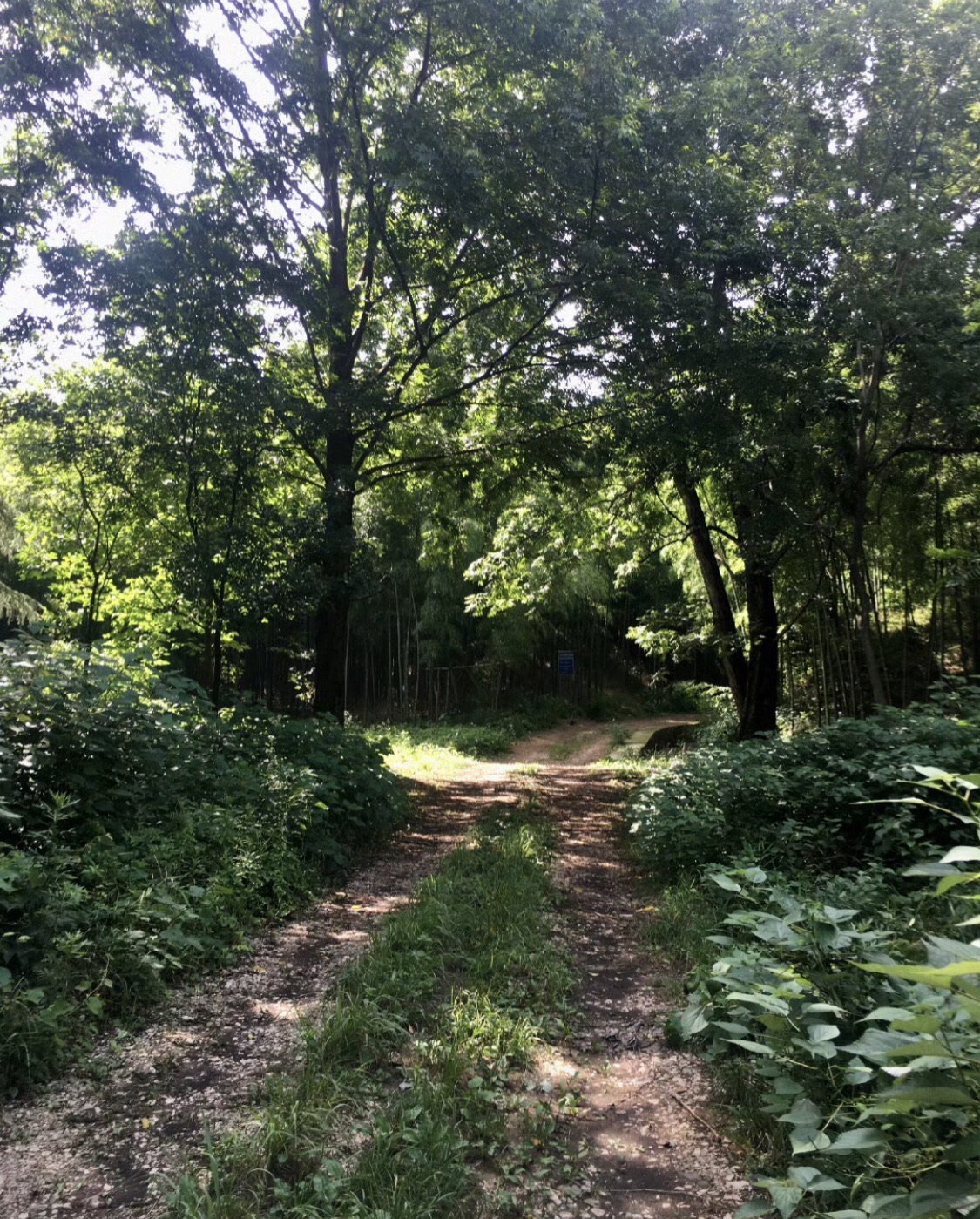 宜兴阳羡生态旅游度假区旅行图片 2