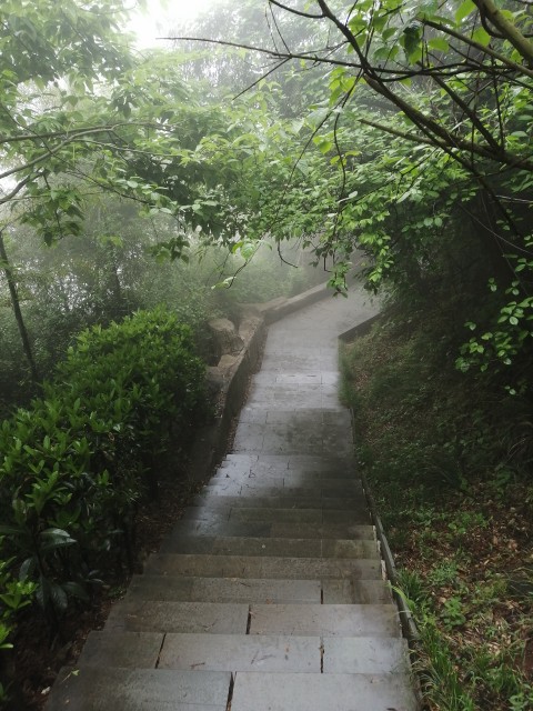宜兴阳羡生态旅游度假区旅行图片 3