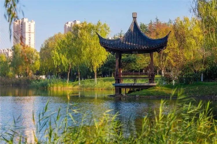 临港中央公园旅行图片 2