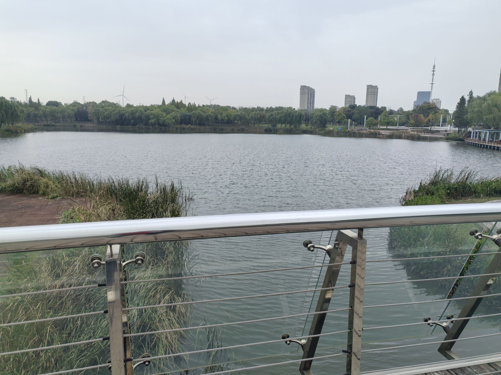 临港中央公园旅行图片 1