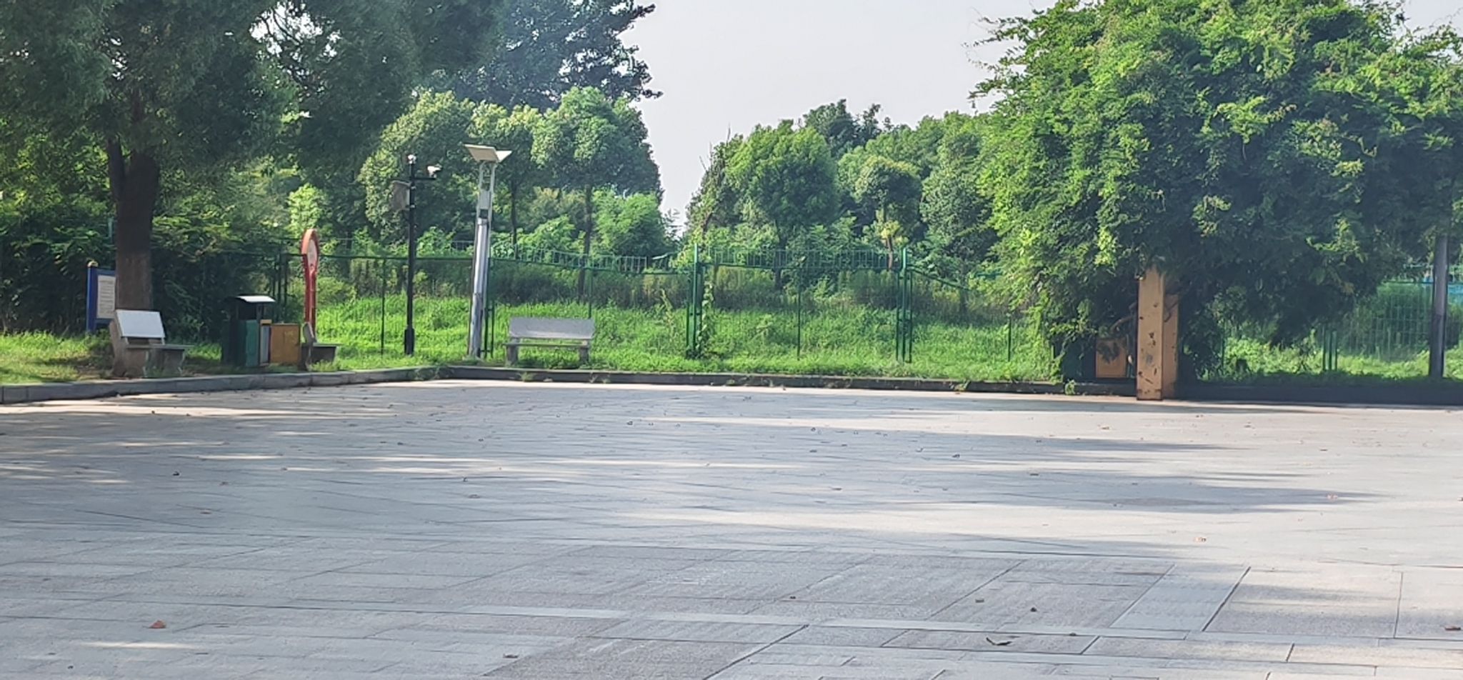 大成广场旅行图片 2