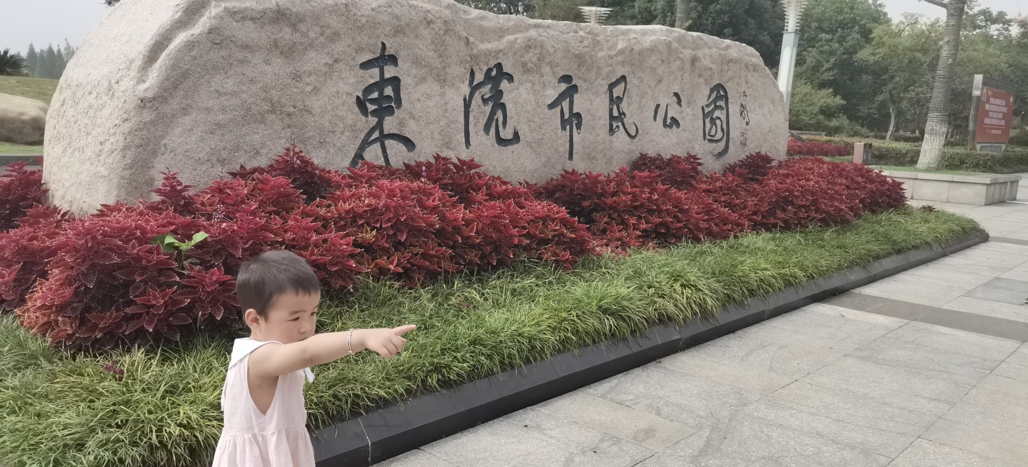 东港市民公园旅行图片 2