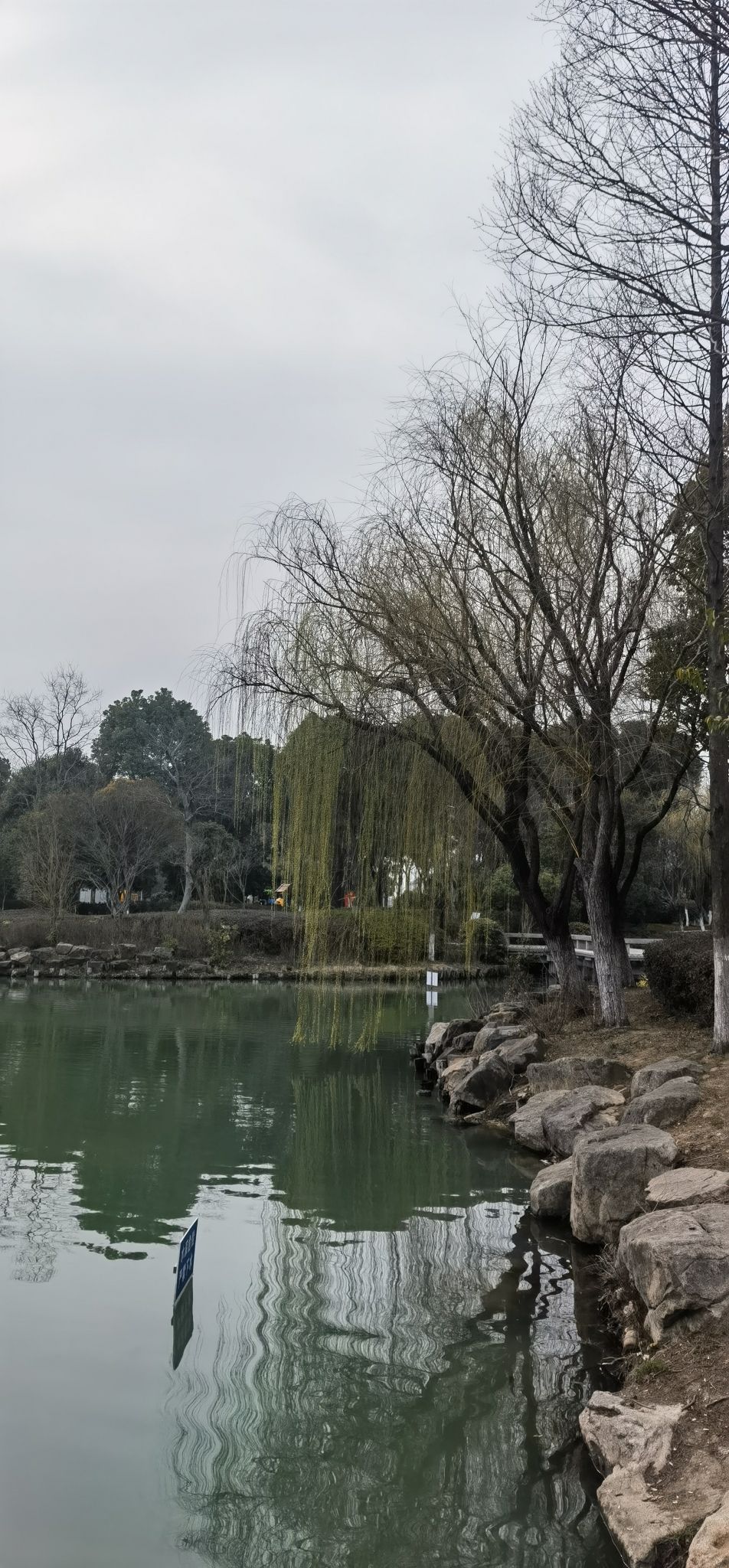 东港市民公园旅行图片 3