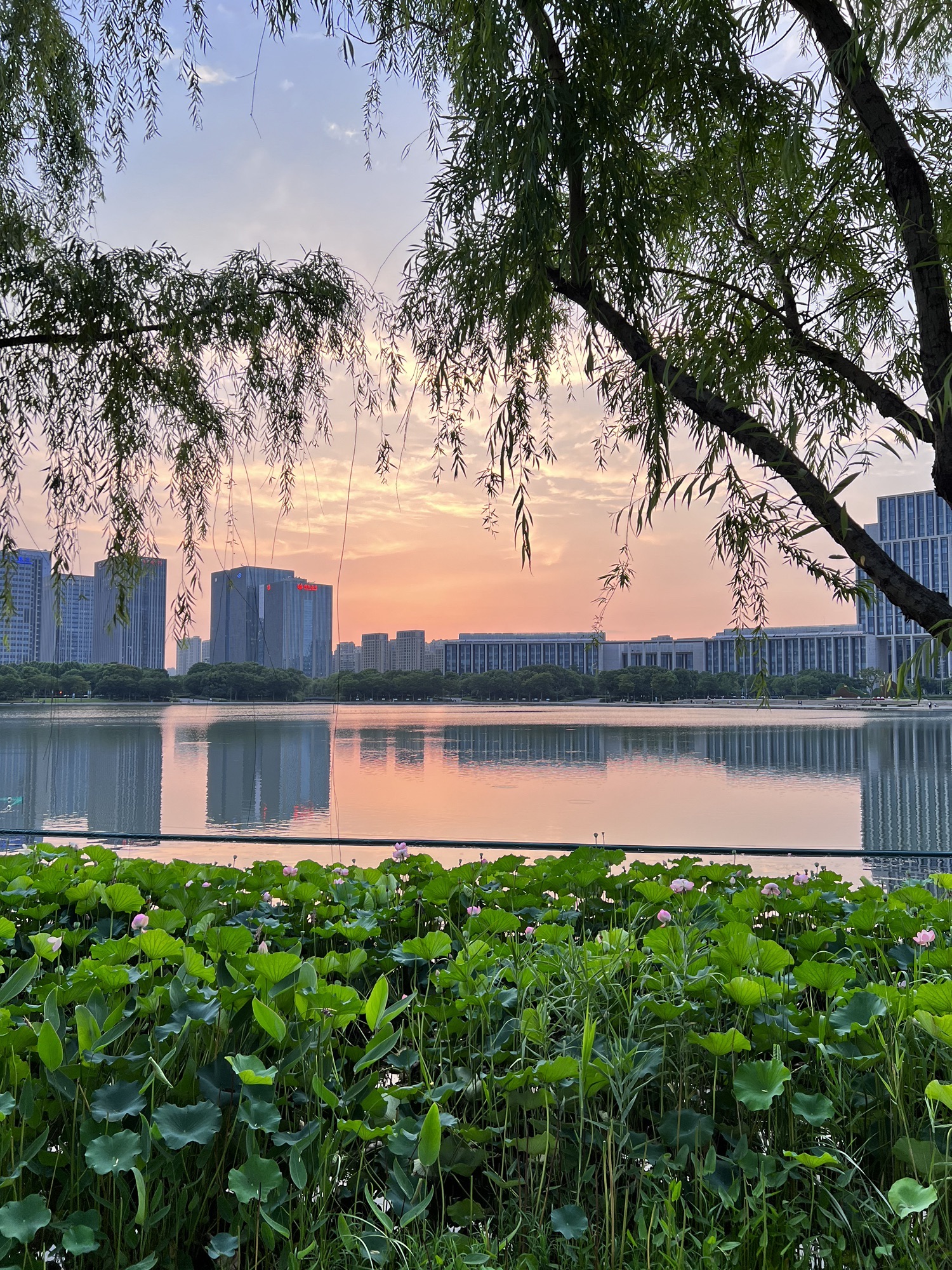 尚贤河湿地(尚贤道)旅行图片 1