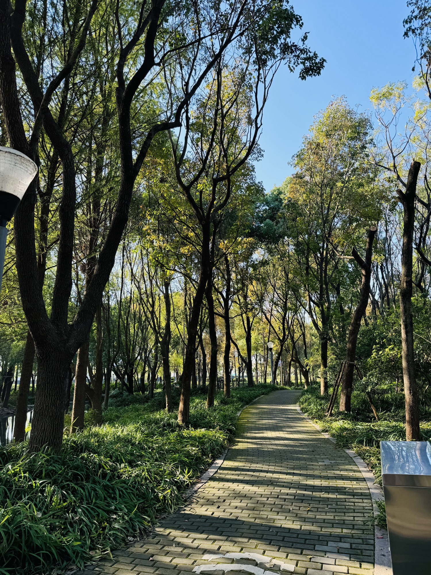 尚贤河湿地(尚贤道)旅行图片 3
