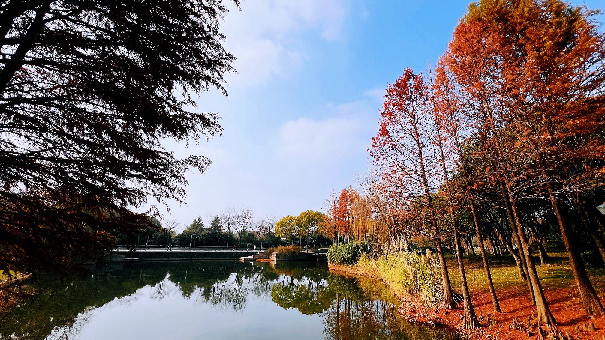 尚贤河湿地(尚贤道)旅行图片 2