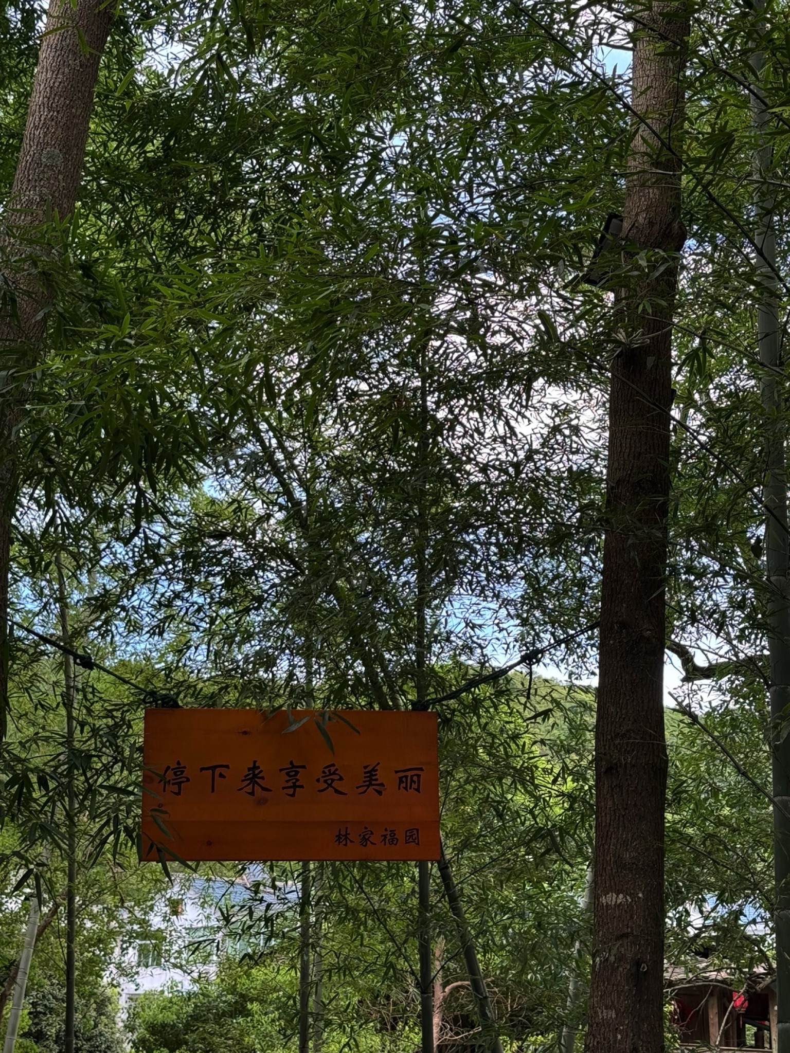 高峰漂流旅行图片 1