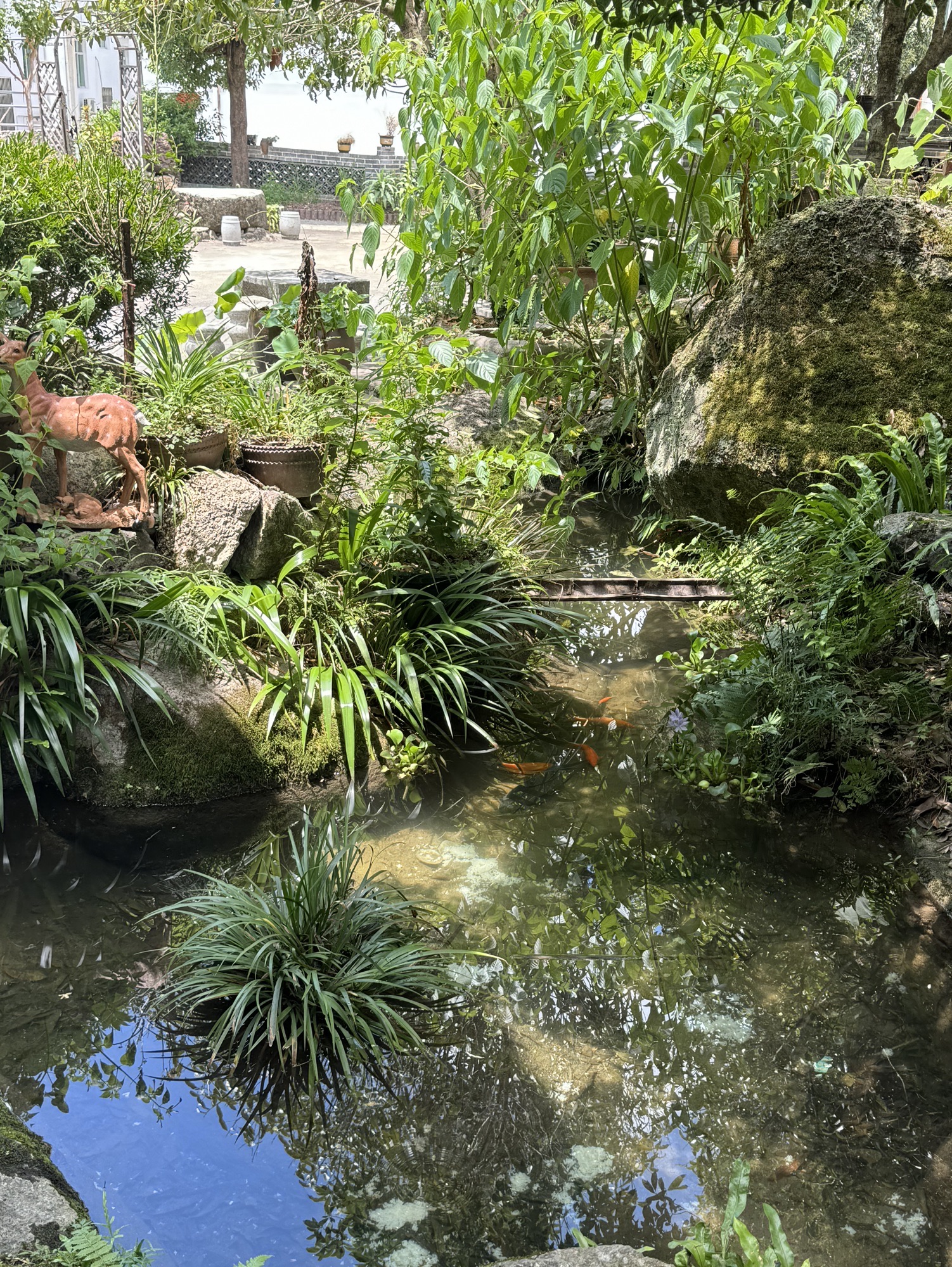 高峰漂流旅行图片 3