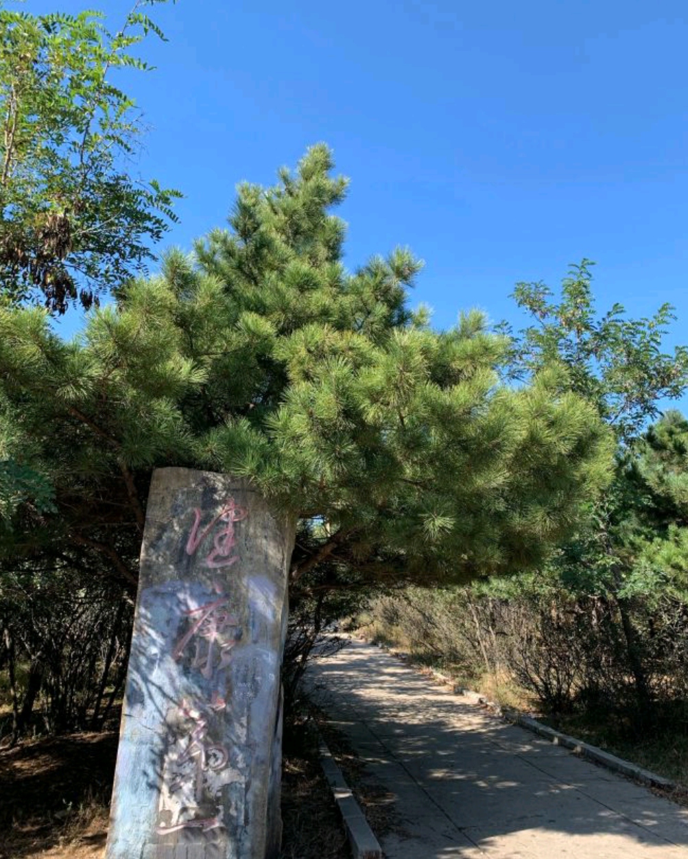 调兵山公园旅行图片 3