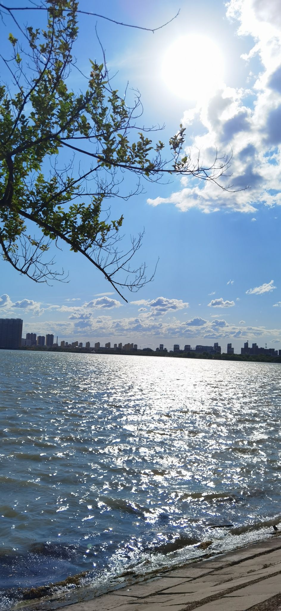 滨洲湖旅行图片 1