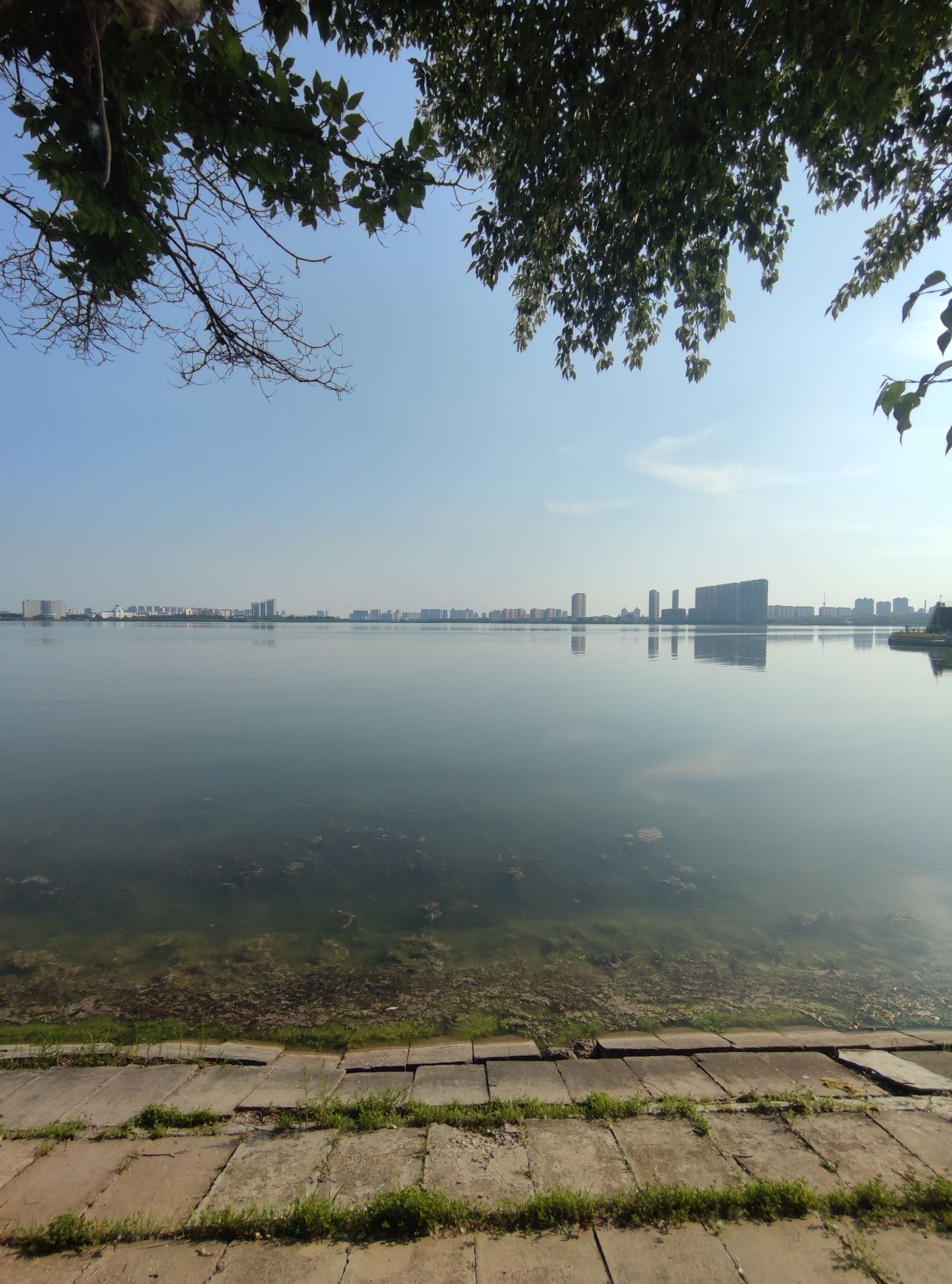 滨洲湖旅行图片 3