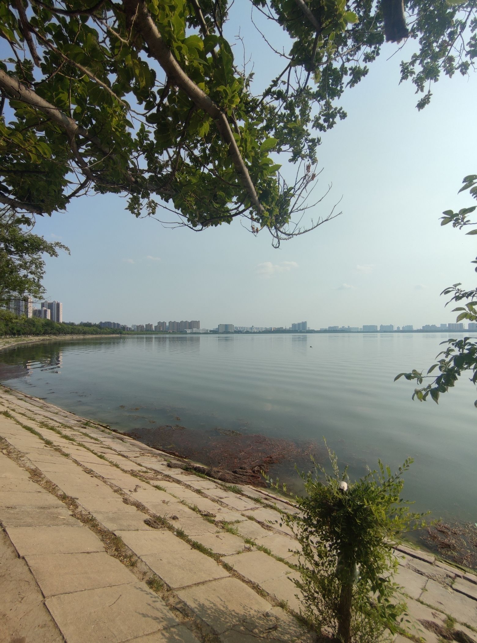 滨洲湖旅行图片 2