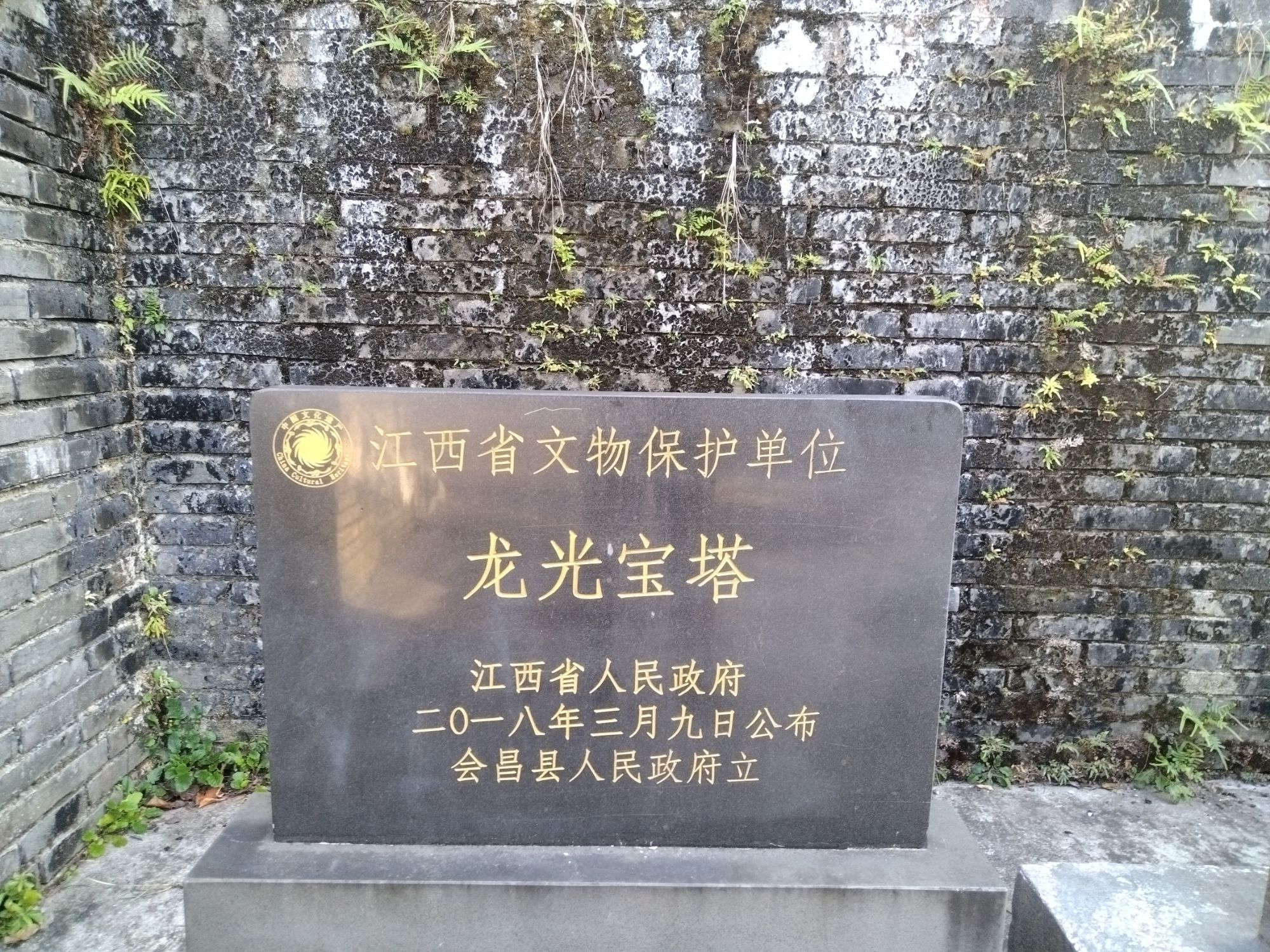 龙光宝塔旅行图片 2