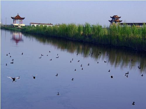红旗岭千鸟湖旅游度假区(不对外开放)旅行图片 1