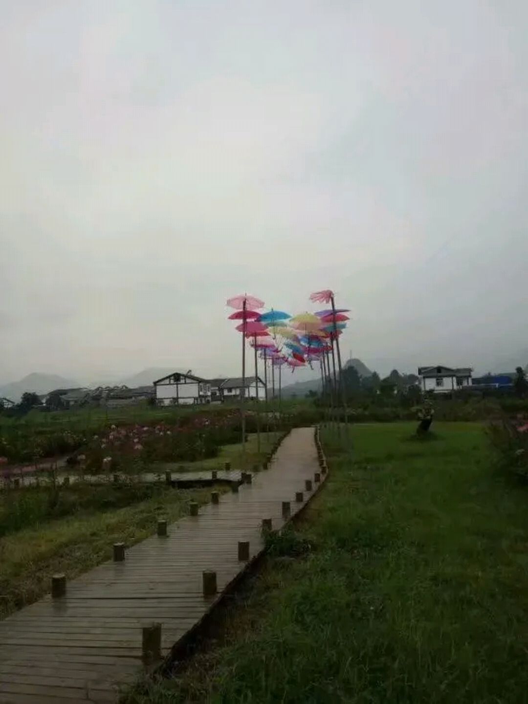 诗乡花海旅行图片 2