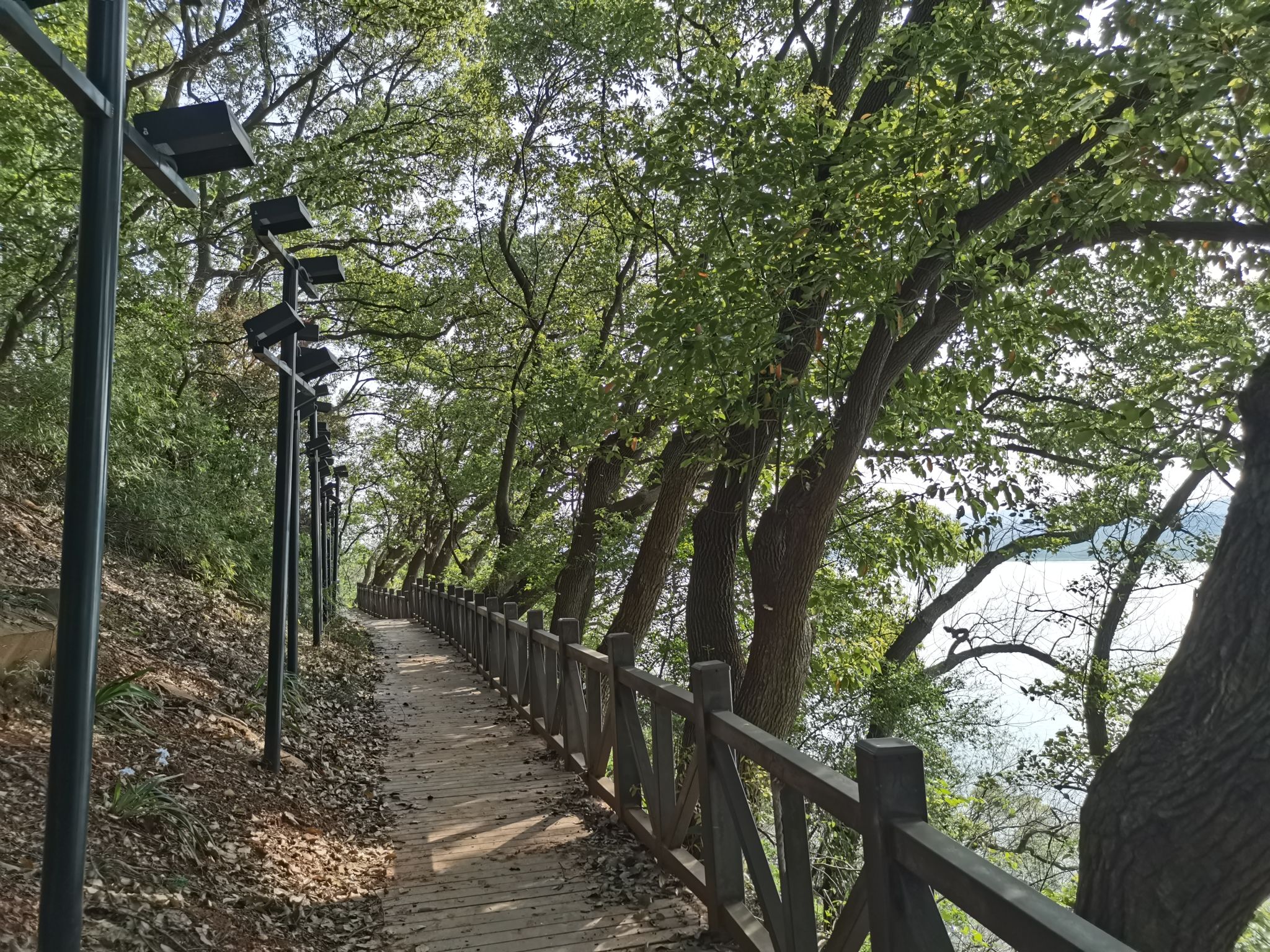 长沙望江公园