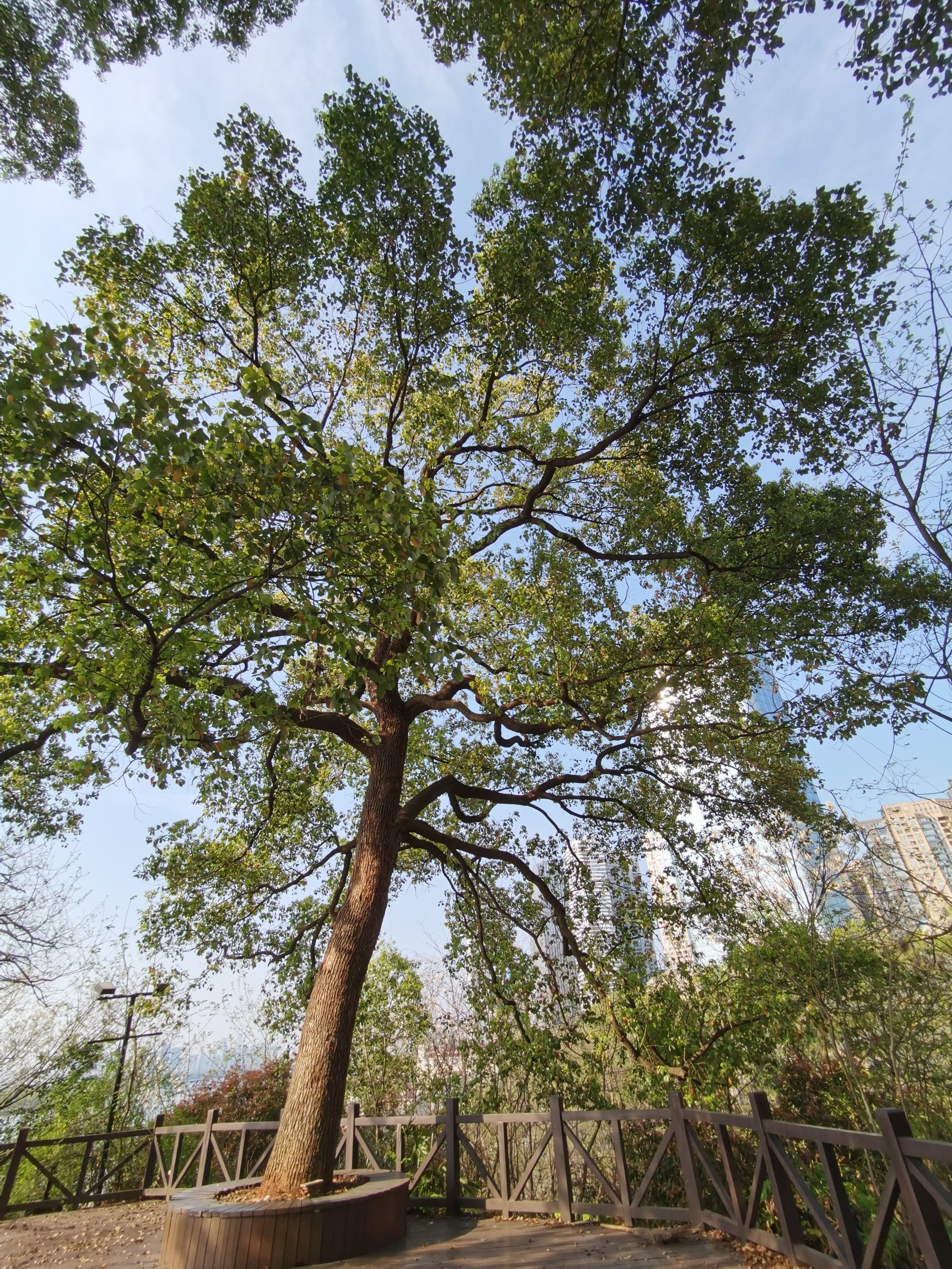 长沙望江公园