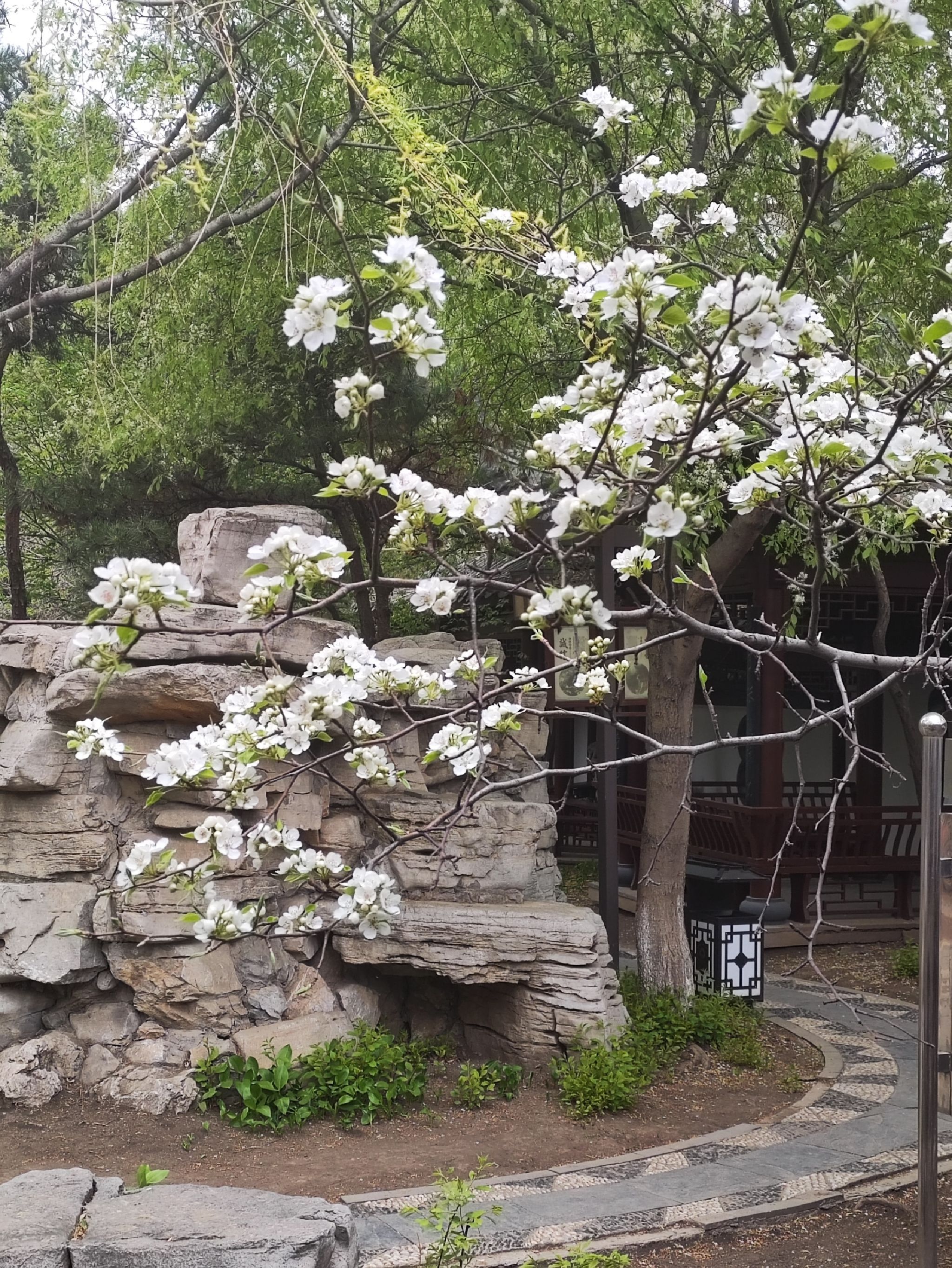 锦程公园旅行图片 2