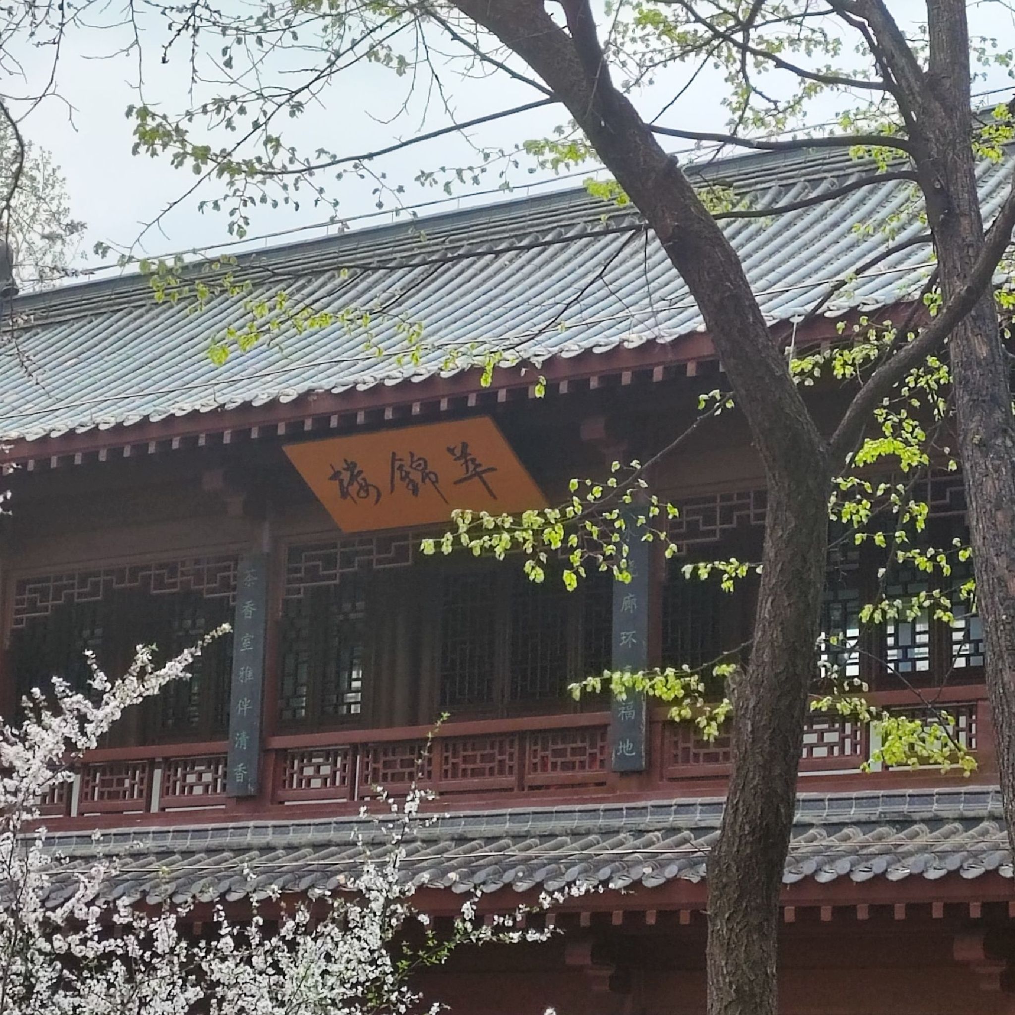 锦程公园旅行图片 1