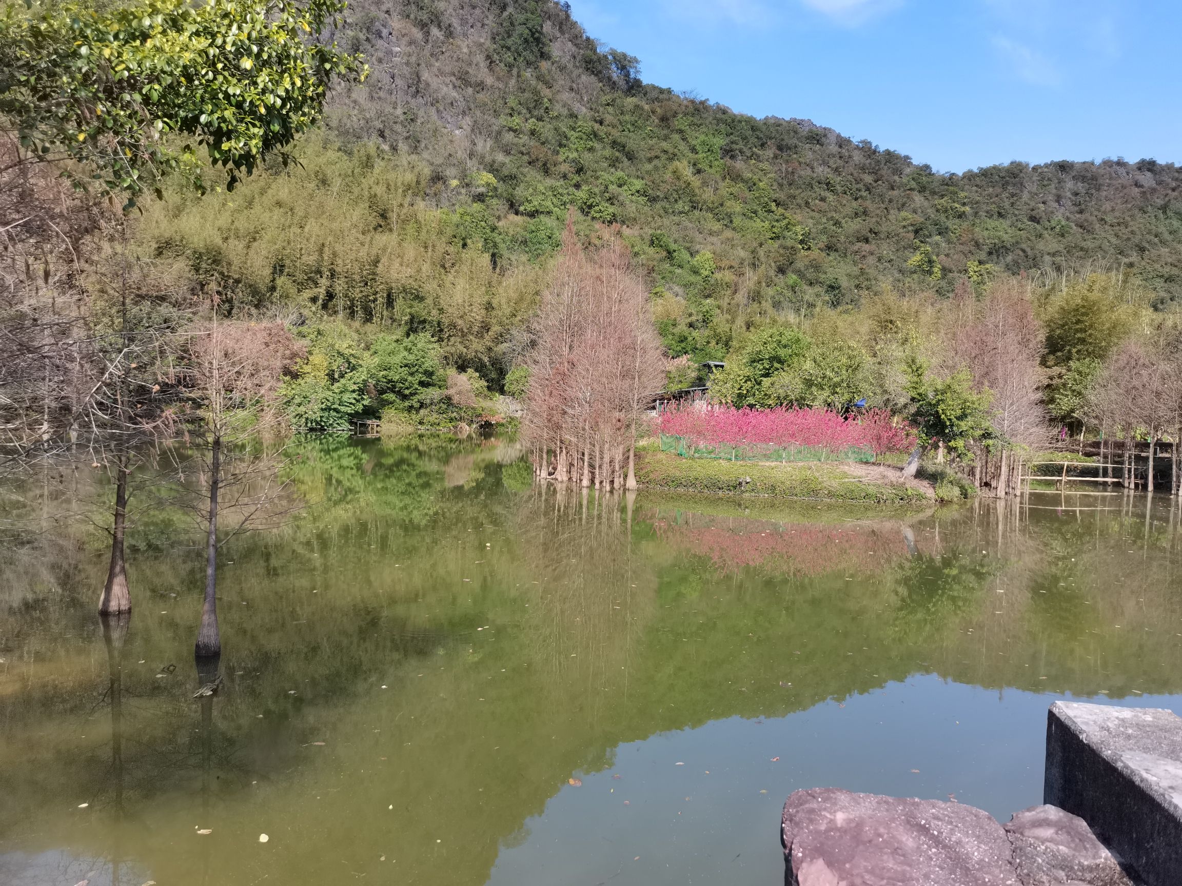 仙桥地下河景区旅行图片 3