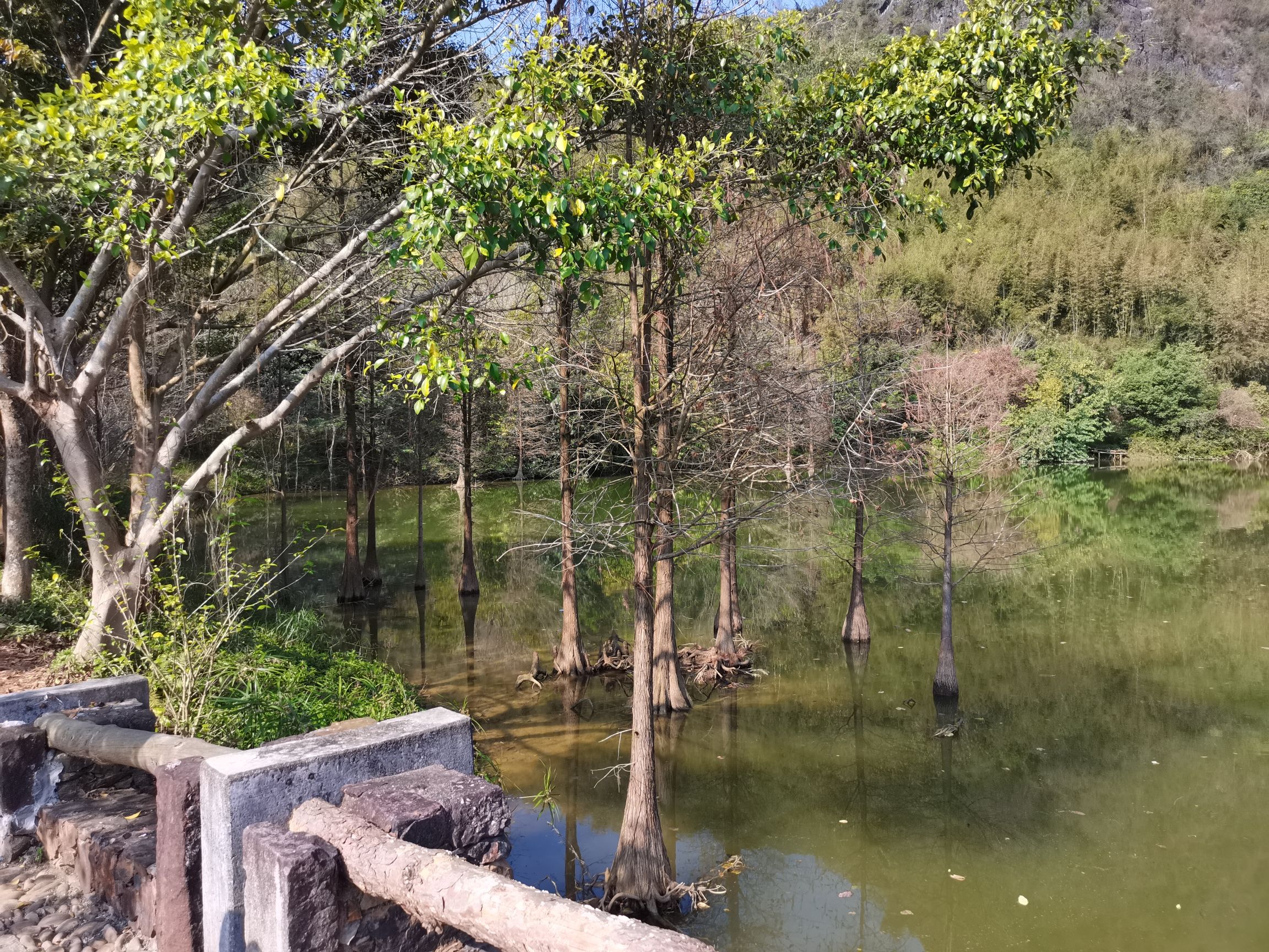 仙桥地下河景区旅行图片 2