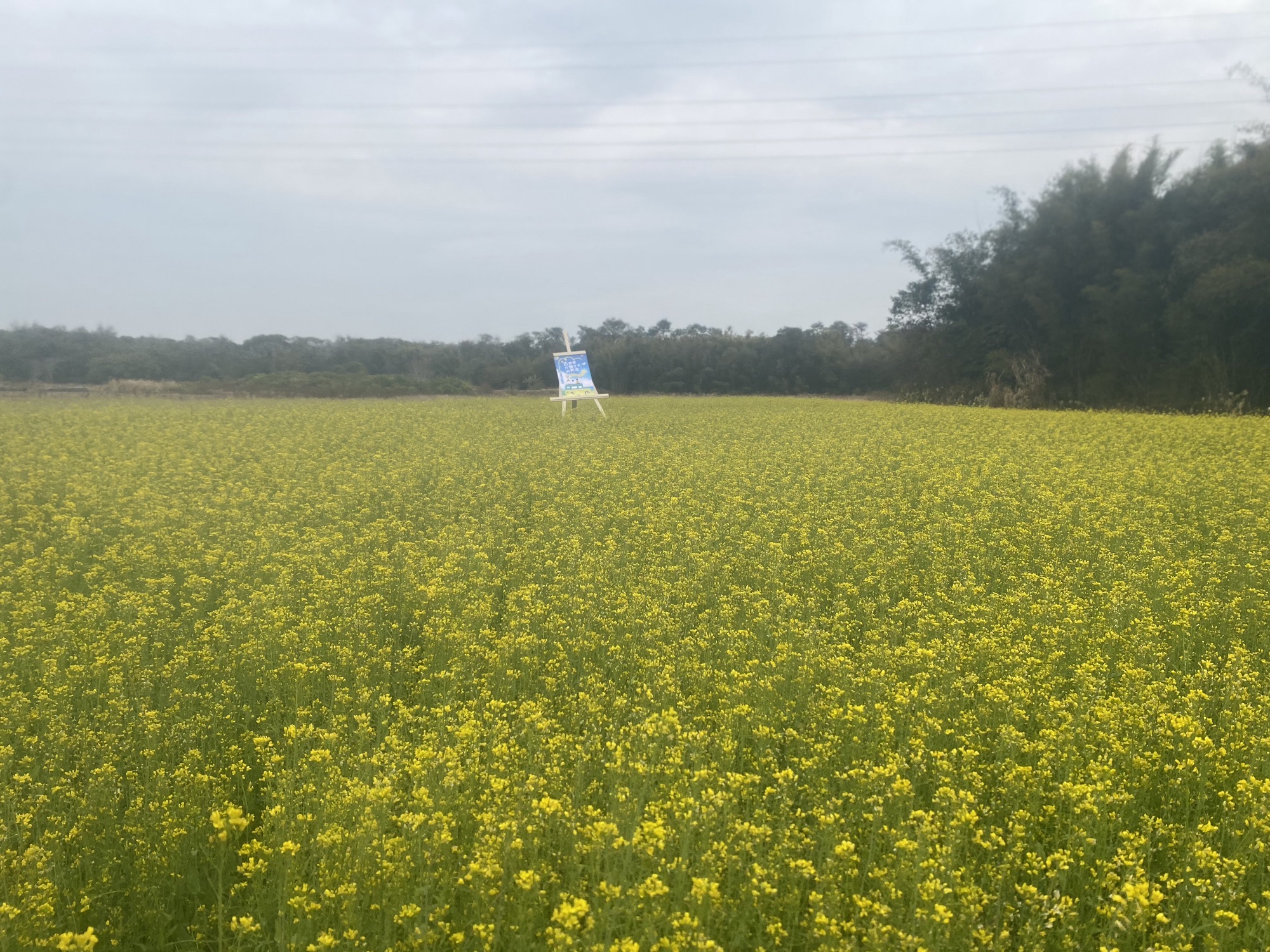 仙桥地下河景区旅行图片 3