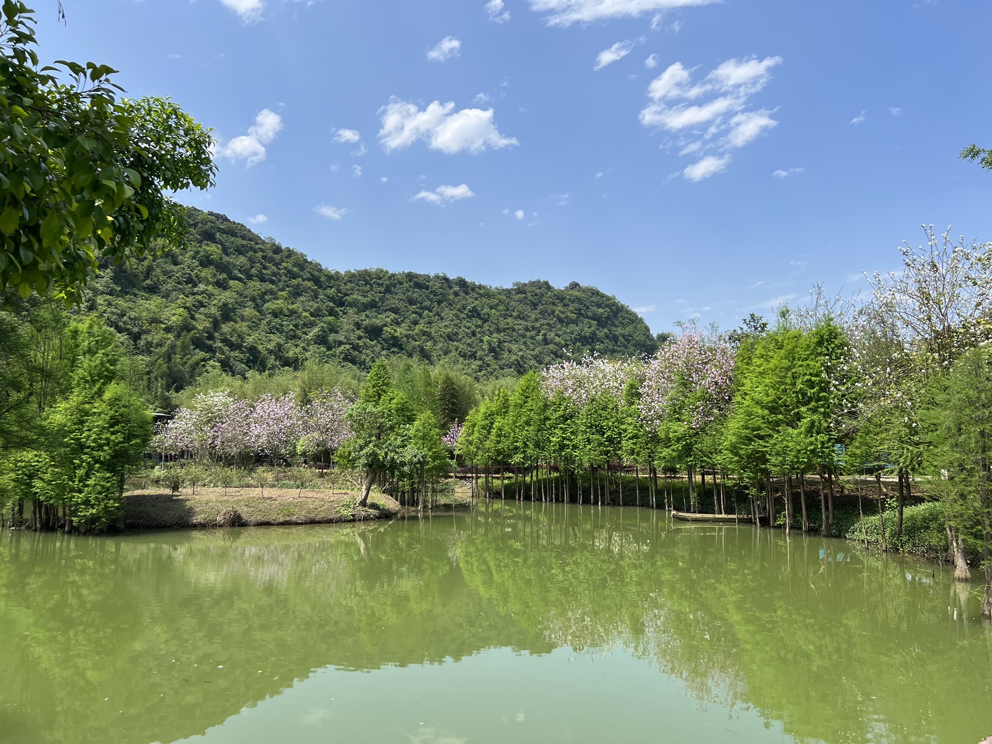 仙桥地下河景区旅行图片 1