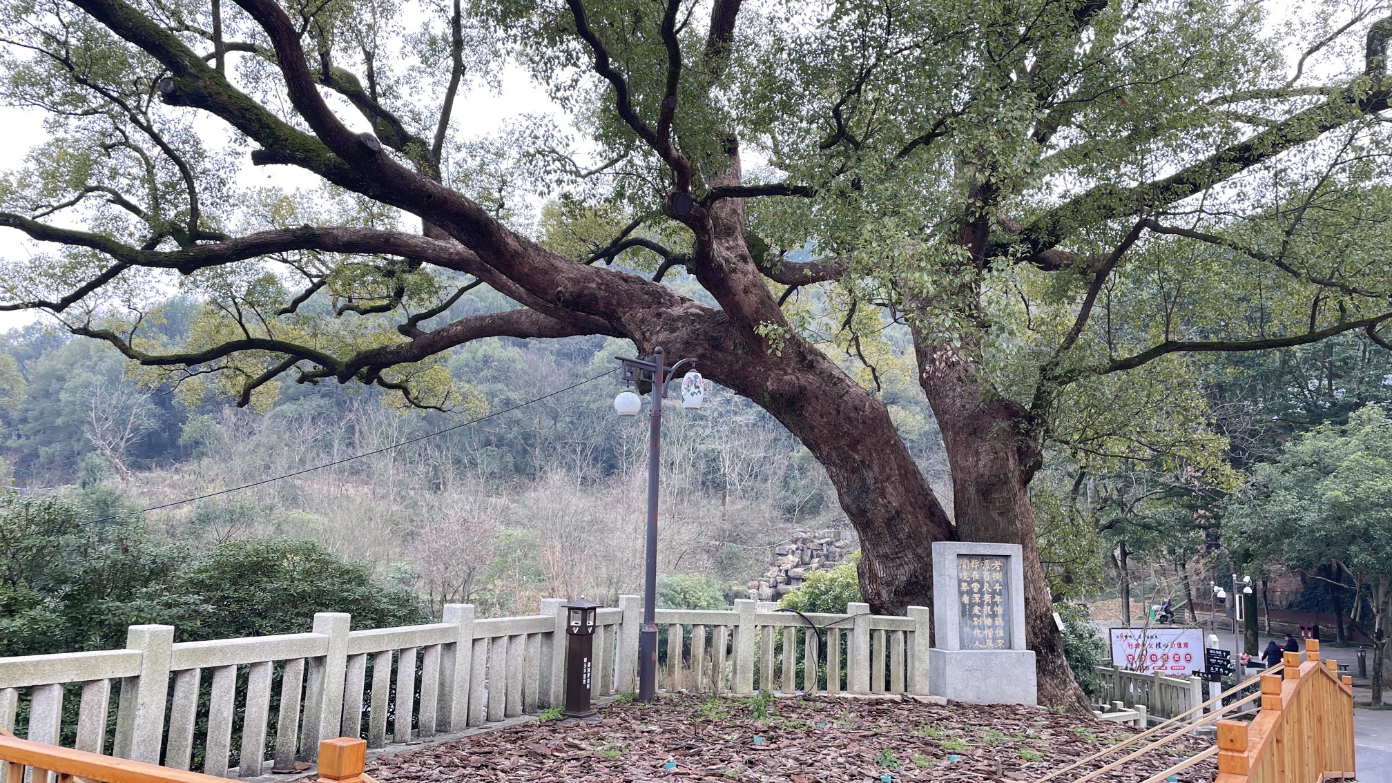 渌江书院旅行图片 1