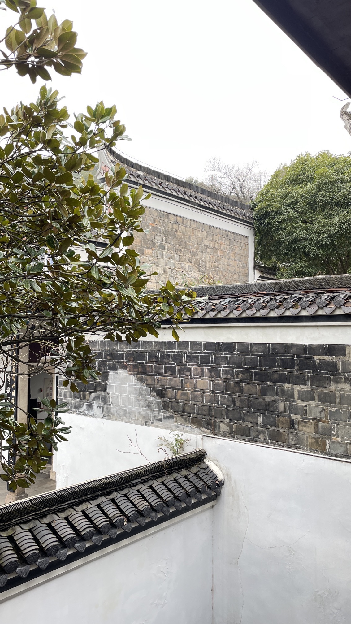 渌江书院旅行图片 3