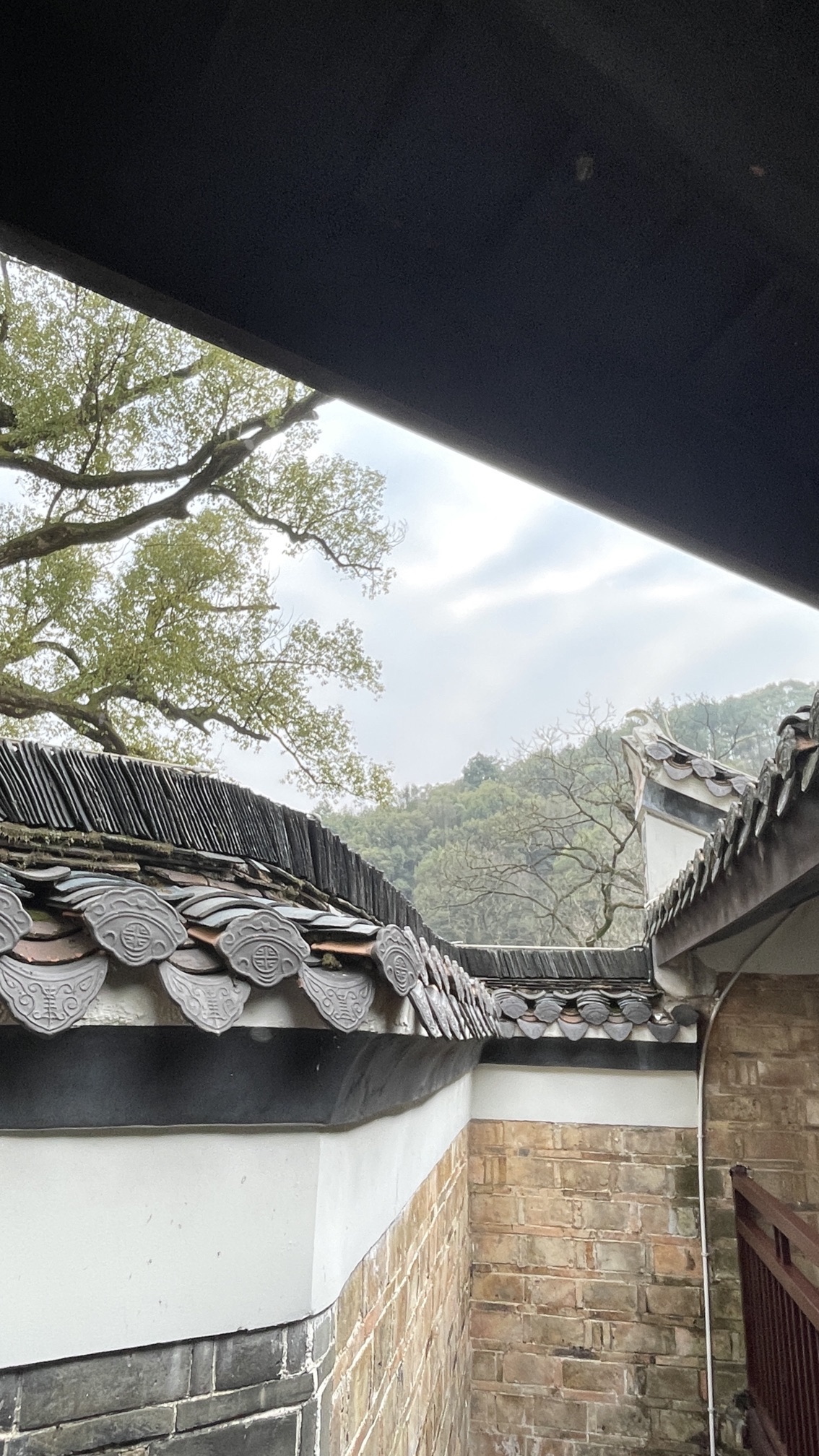 渌江书院旅行图片 2
