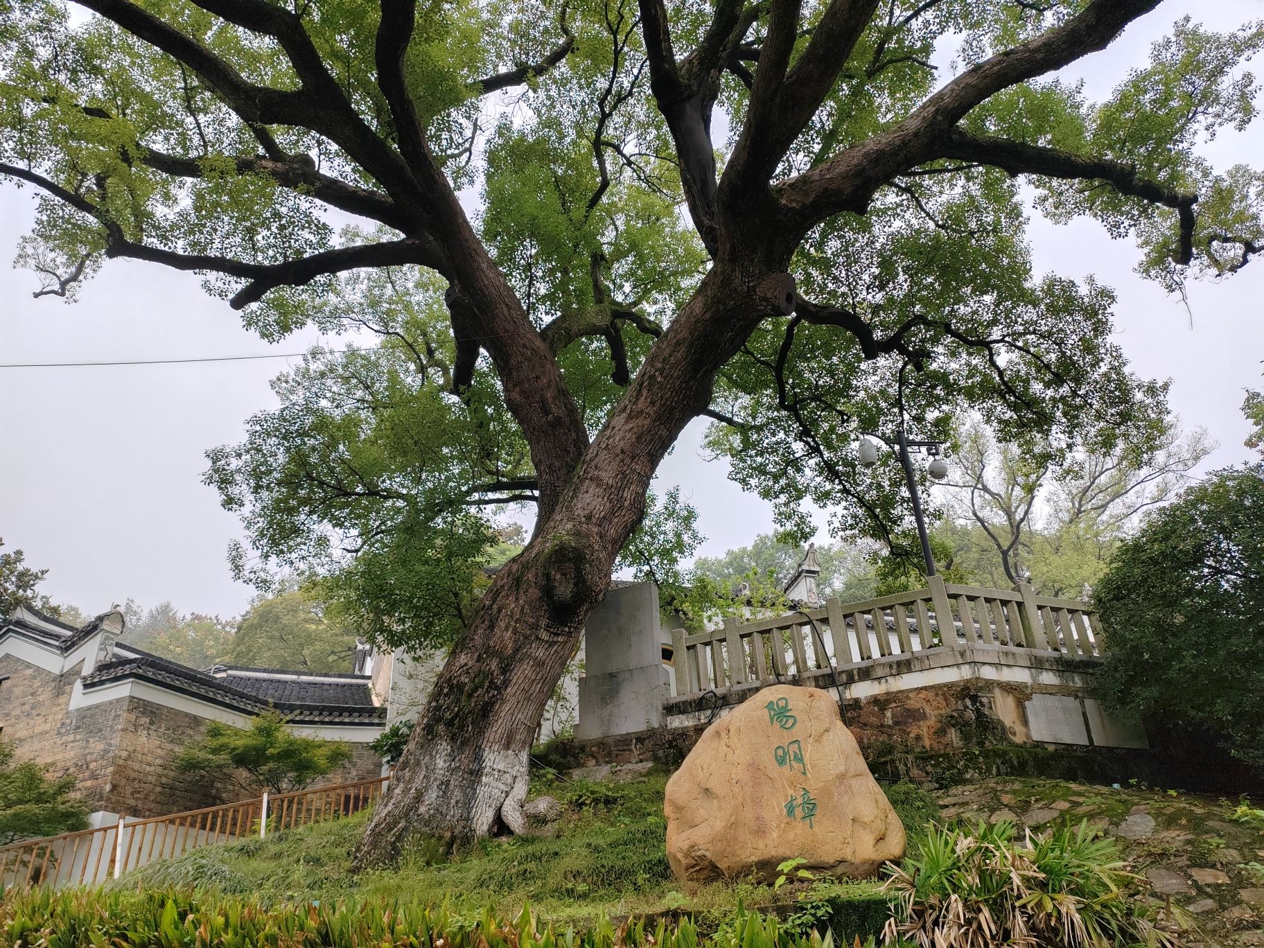 渌江书院旅行图片 3