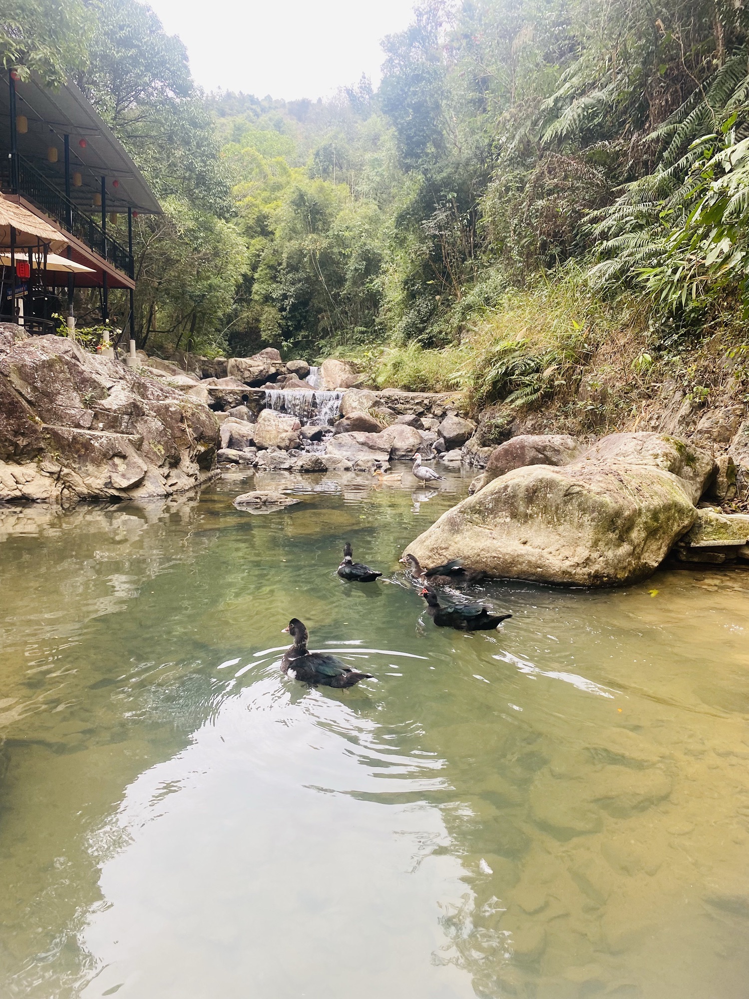 幽峪逸林旅行图片 3
