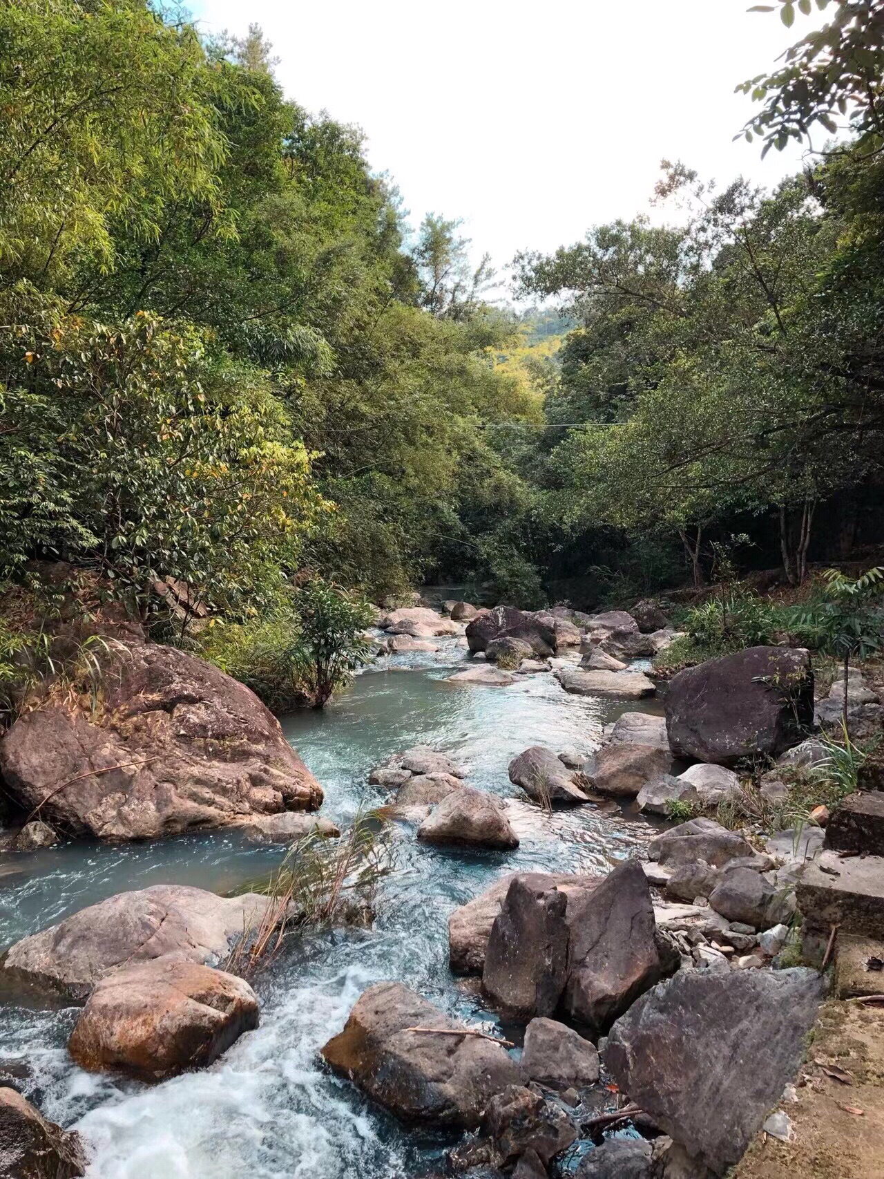 幽峪逸林旅行图片 1