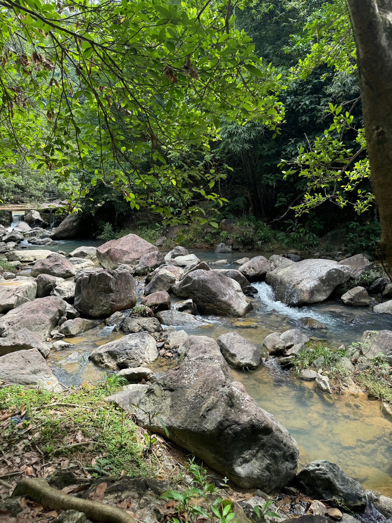 幽峪逸林旅行图片 2