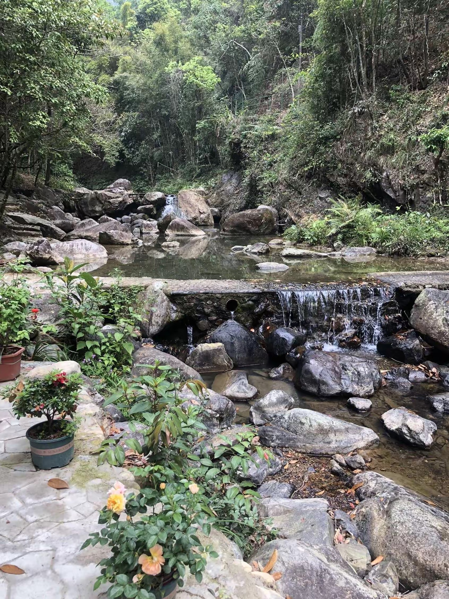 幽峪逸林旅行图片 2