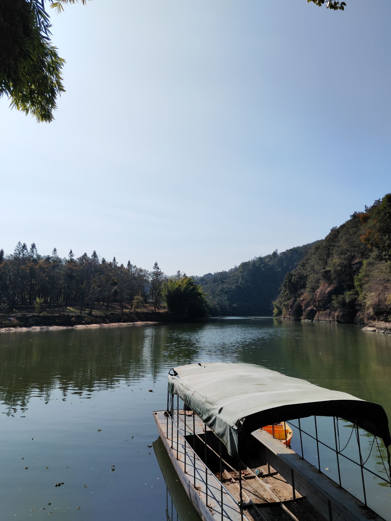 千年古树群风景区旅行图片 2