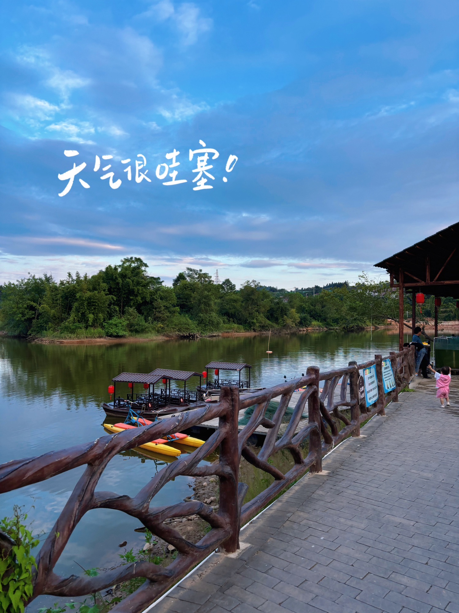 千年古树群风景区旅行图片 3